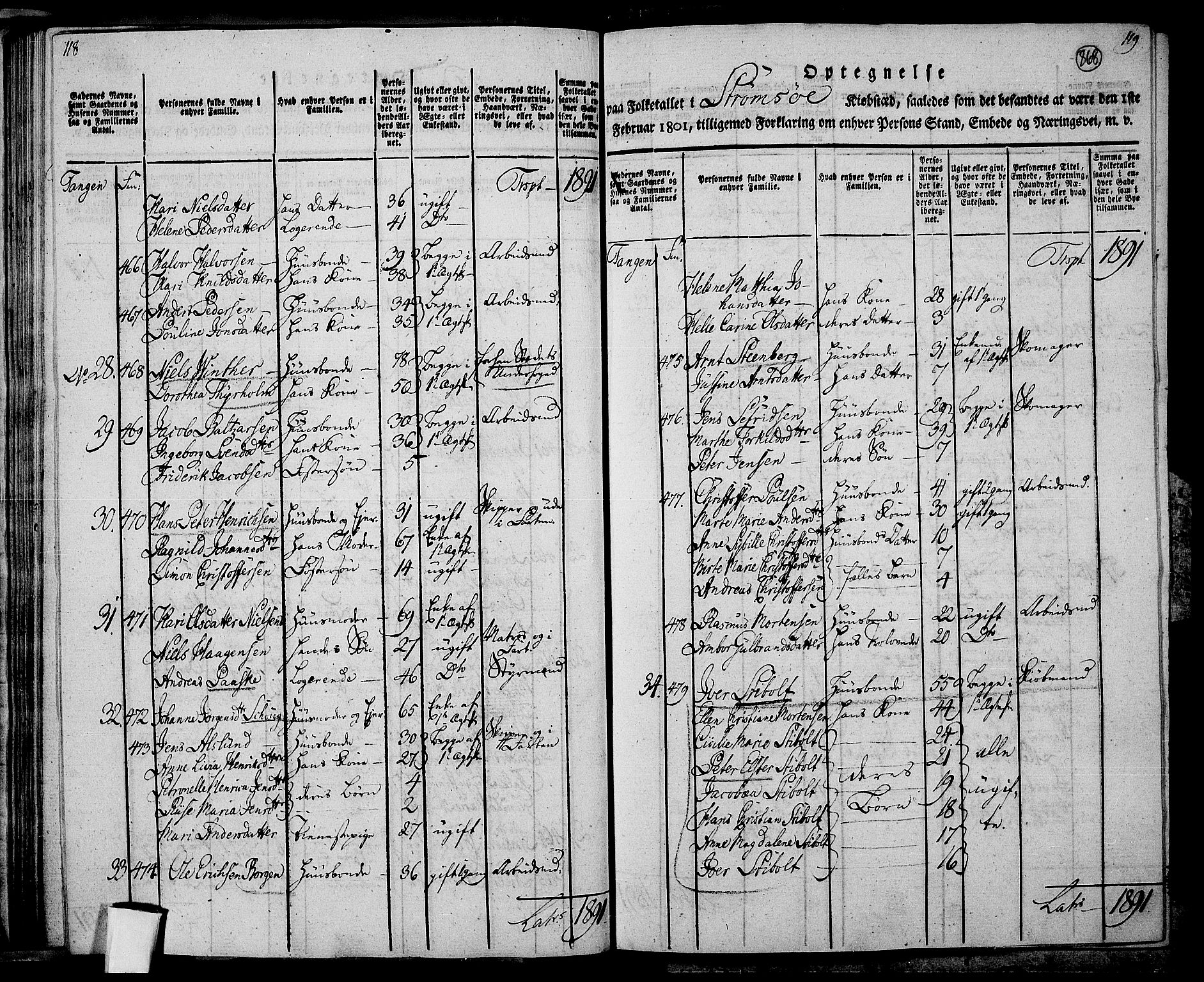 RA, 1801 census for 0602P Bragernes, 1801, p. 867b-868a