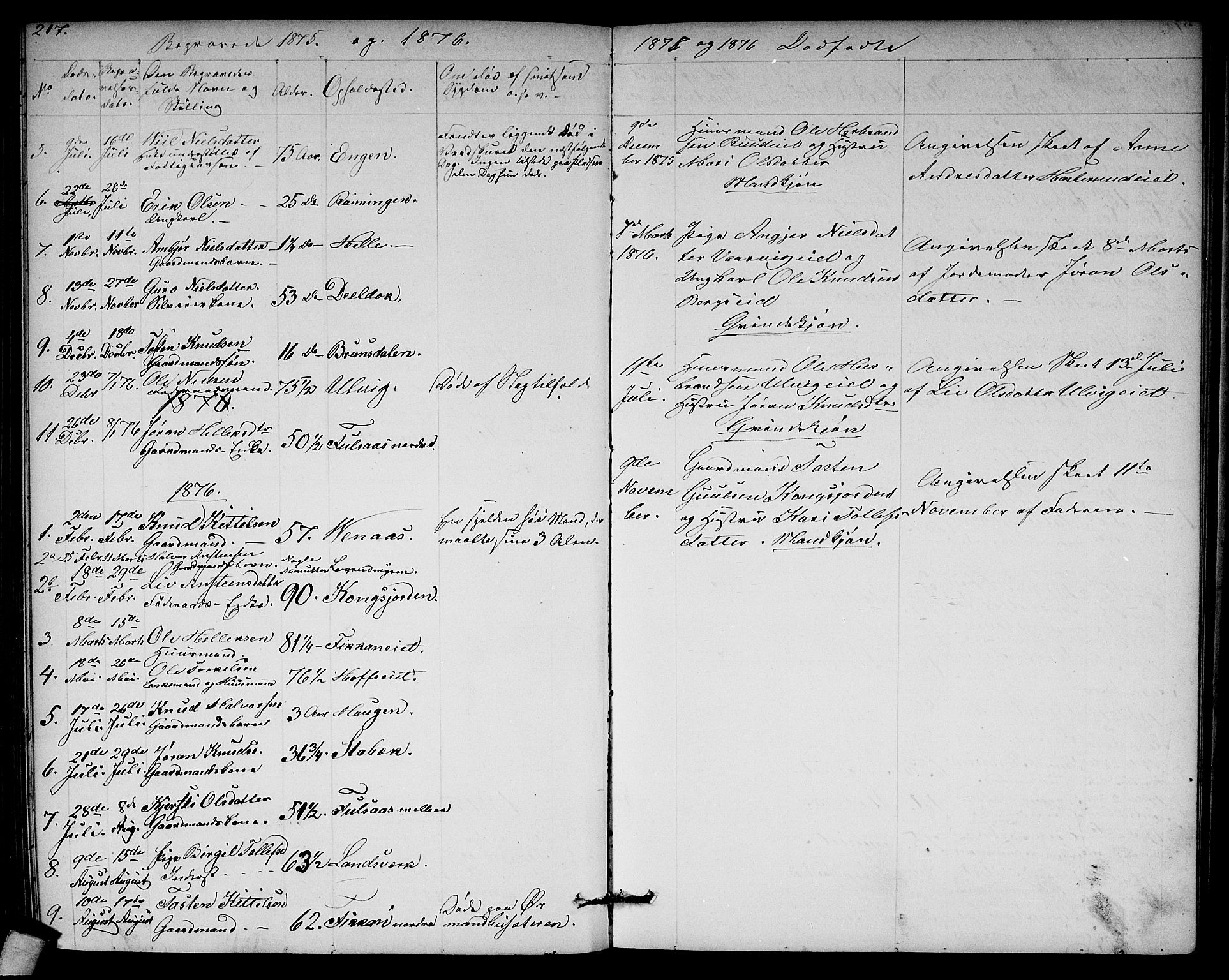 Rollag kirkebøker, SAKO/A-240/G/Ga/L0003: Parish register (copy) no. I 3, 1856-1887, p. 217