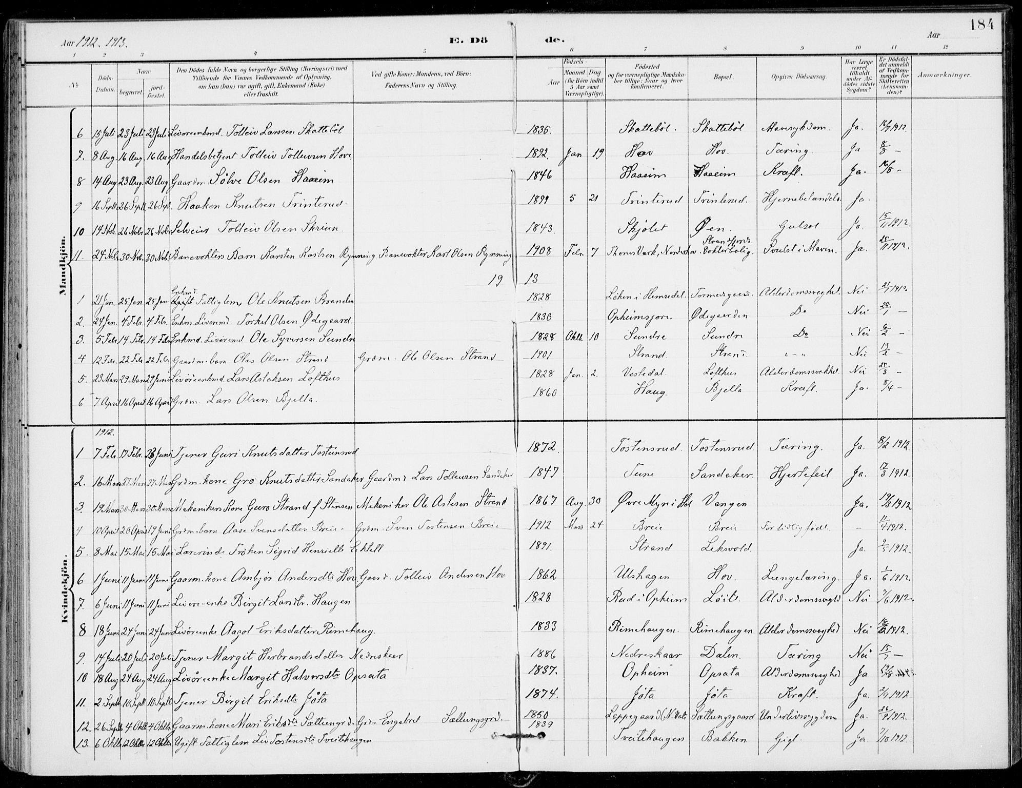 Ål kirkebøker, SAKO/A-249/F/Fa/L0009: Parish register (official) no. I 9, 1897-1915, p. 184