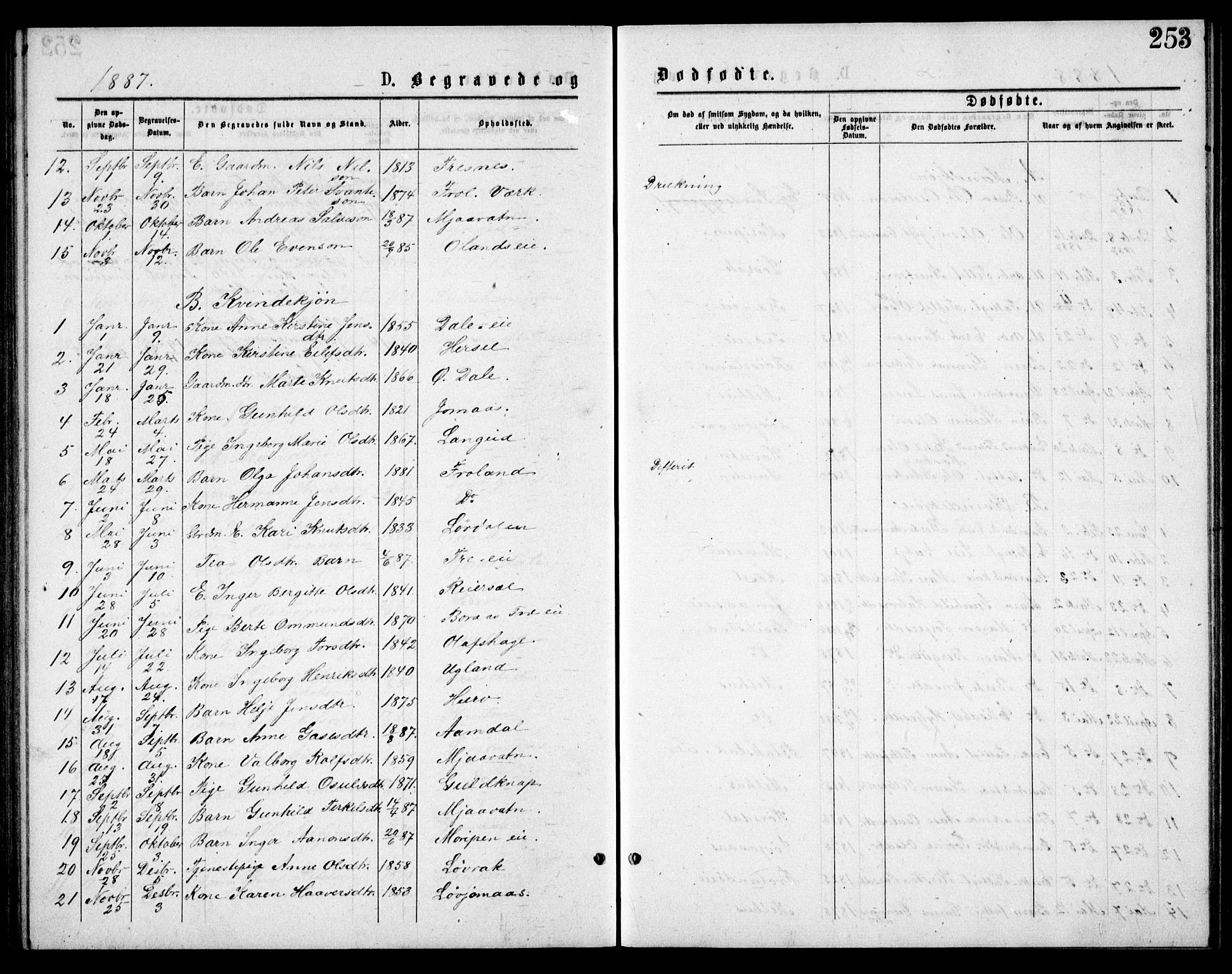 Froland sokneprestkontor, AV/SAK-1111-0013/F/Fb/L0009: Parish register (copy) no. B 9, 1875-1893, p. 253