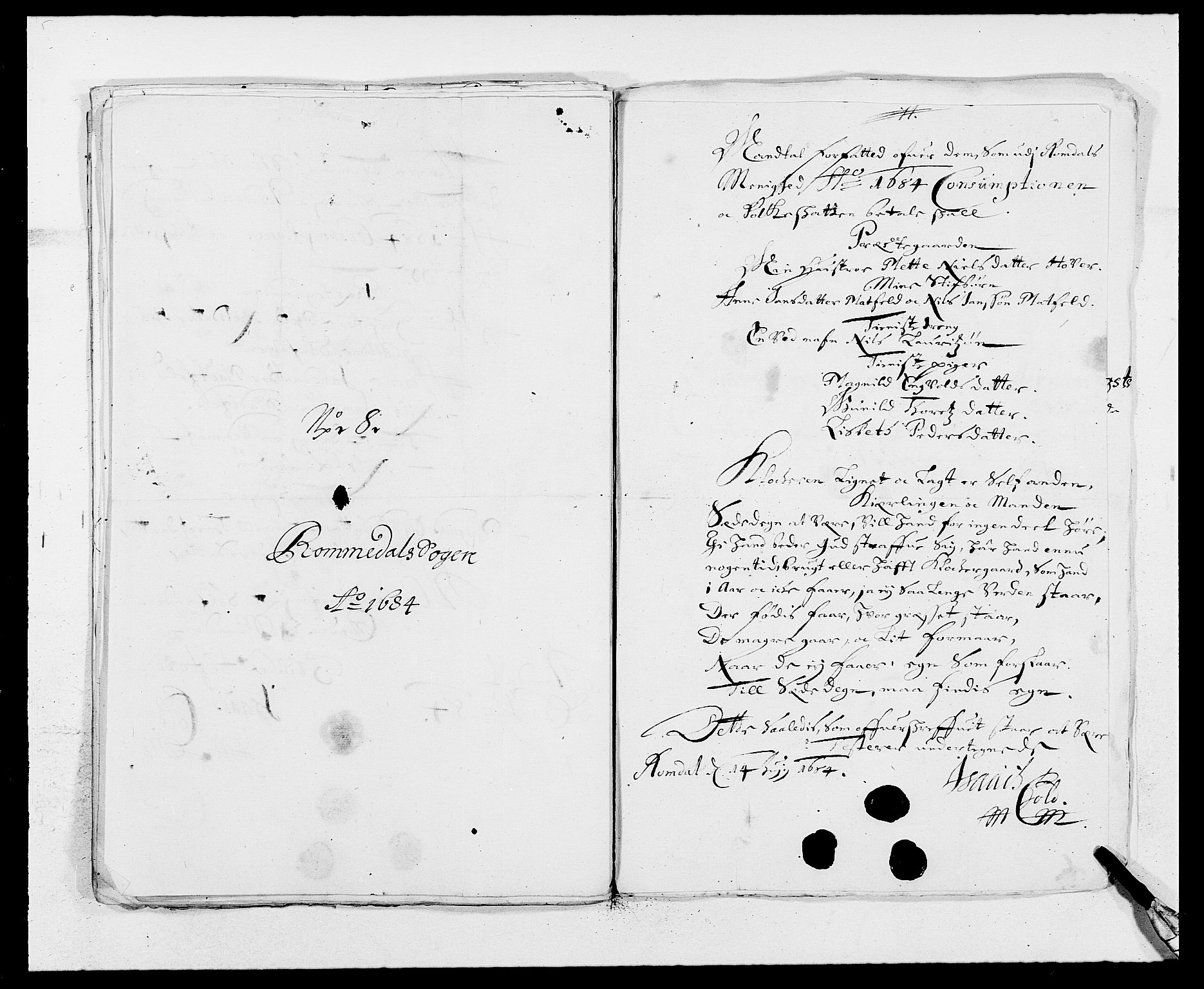 Rentekammeret inntil 1814, Reviderte regnskaper, Fogderegnskap, AV/RA-EA-4092/R16/L1025: Fogderegnskap Hedmark, 1684, p. 294