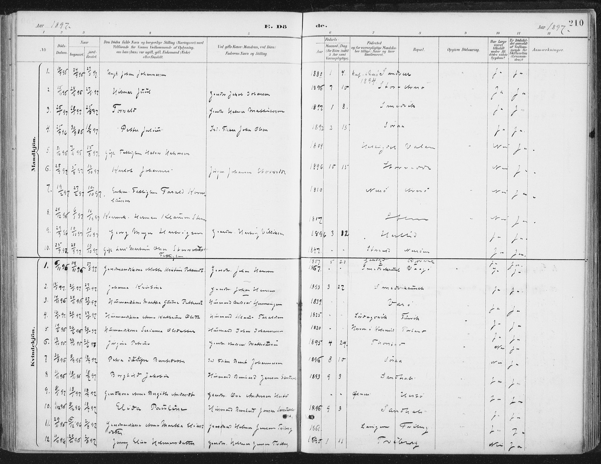 Ministerialprotokoller, klokkerbøker og fødselsregistre - Nord-Trøndelag, SAT/A-1458/784/L0673: Parish register (official) no. 784A08, 1888-1899, p. 210