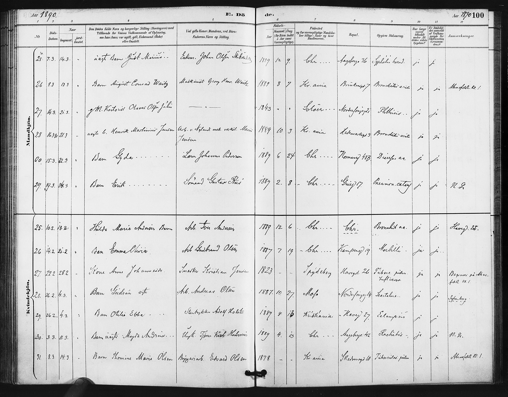 Kampen prestekontor Kirkebøker, AV/SAO-A-10853/F/Fa/L0006: Parish register (official) no. I 6, 1889-1896, p. 100