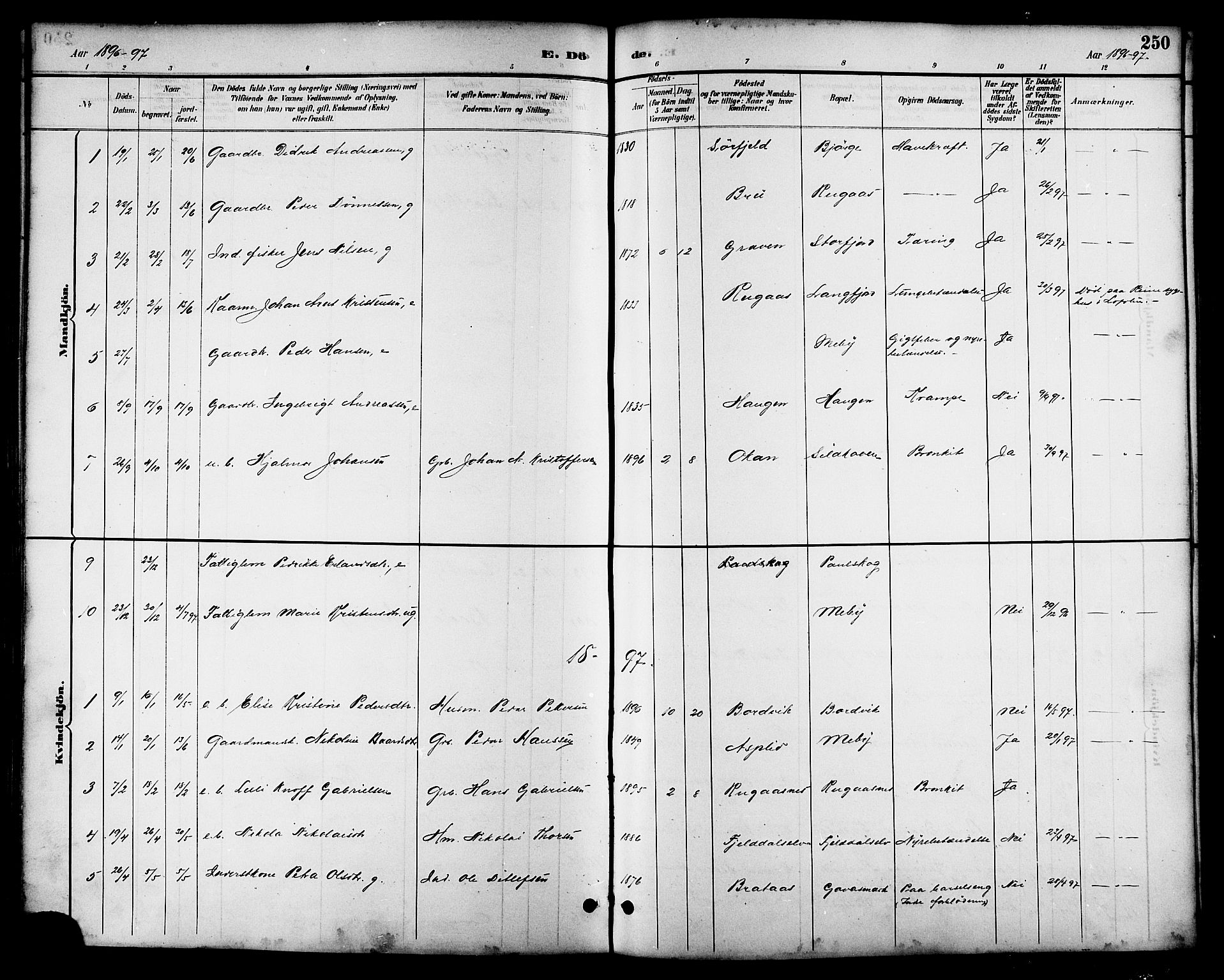 Ministerialprotokoller, klokkerbøker og fødselsregistre - Nordland, AV/SAT-A-1459/814/L0230: Parish register (copy) no. 814C03, 1884-1911, p. 250