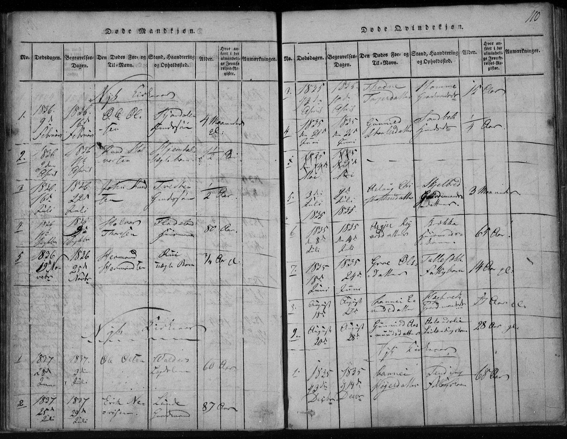 Lårdal kirkebøker, AV/SAKO-A-284/F/Fa/L0005: Parish register (official) no. I 5, 1815-1860, p. 110