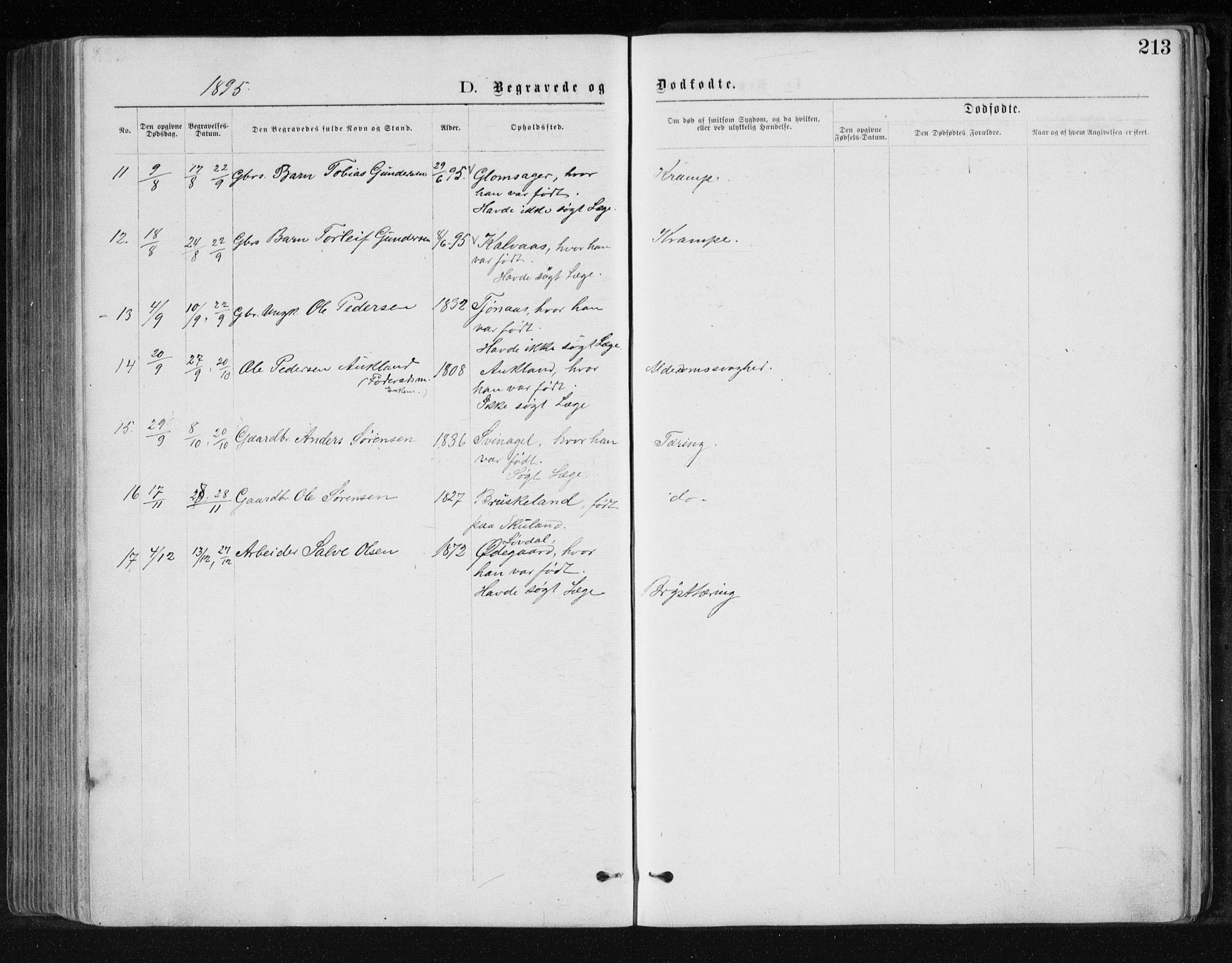 Holum sokneprestkontor, AV/SAK-1111-0022/F/Fb/Fbb/L0003: Parish register (copy) no. B 3, 1875-1898, p. 213