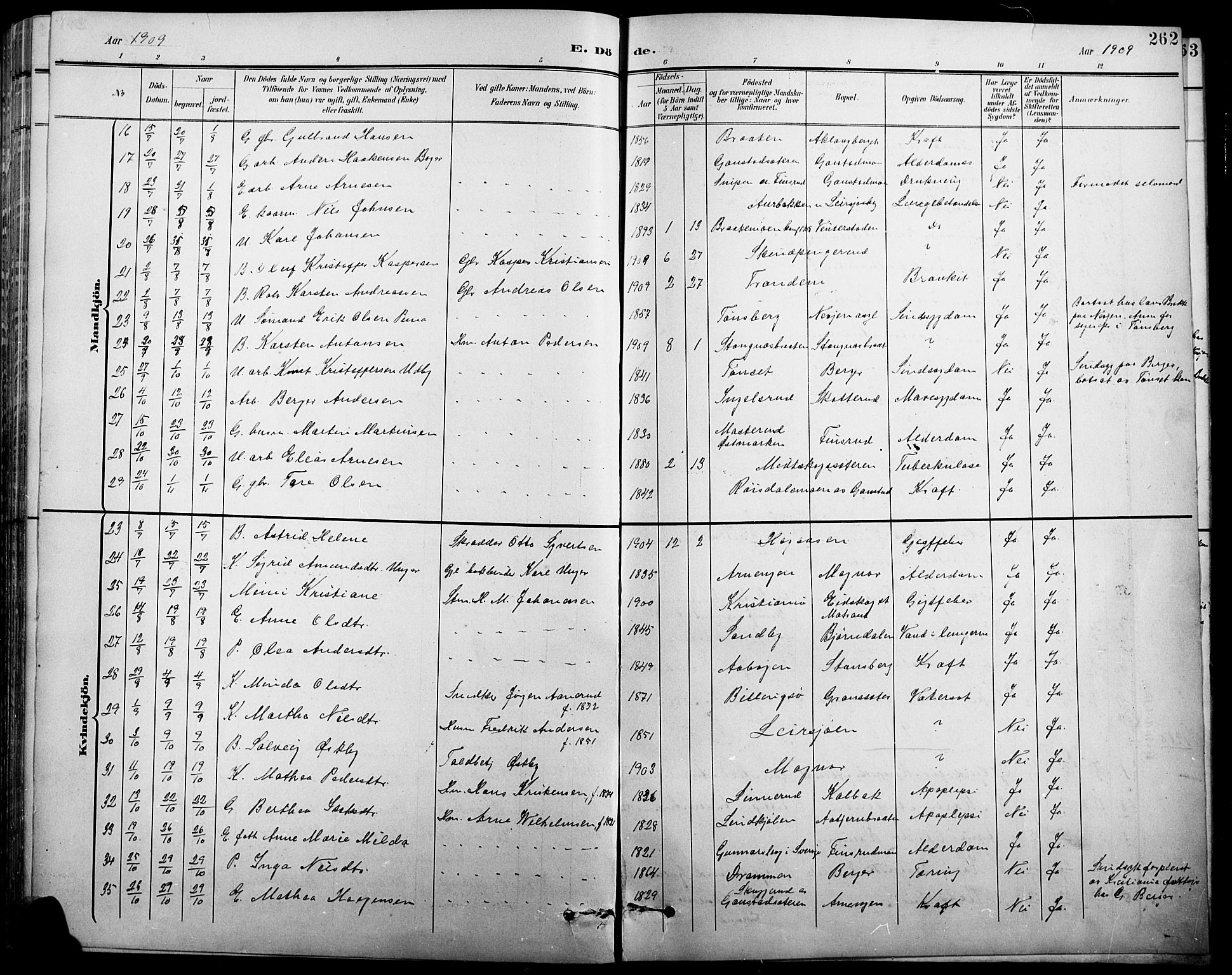 Eidskog prestekontor, AV/SAH-PREST-026/H/Ha/Hab/L0001: Parish register (copy) no. 1, 1895-1917, p. 262