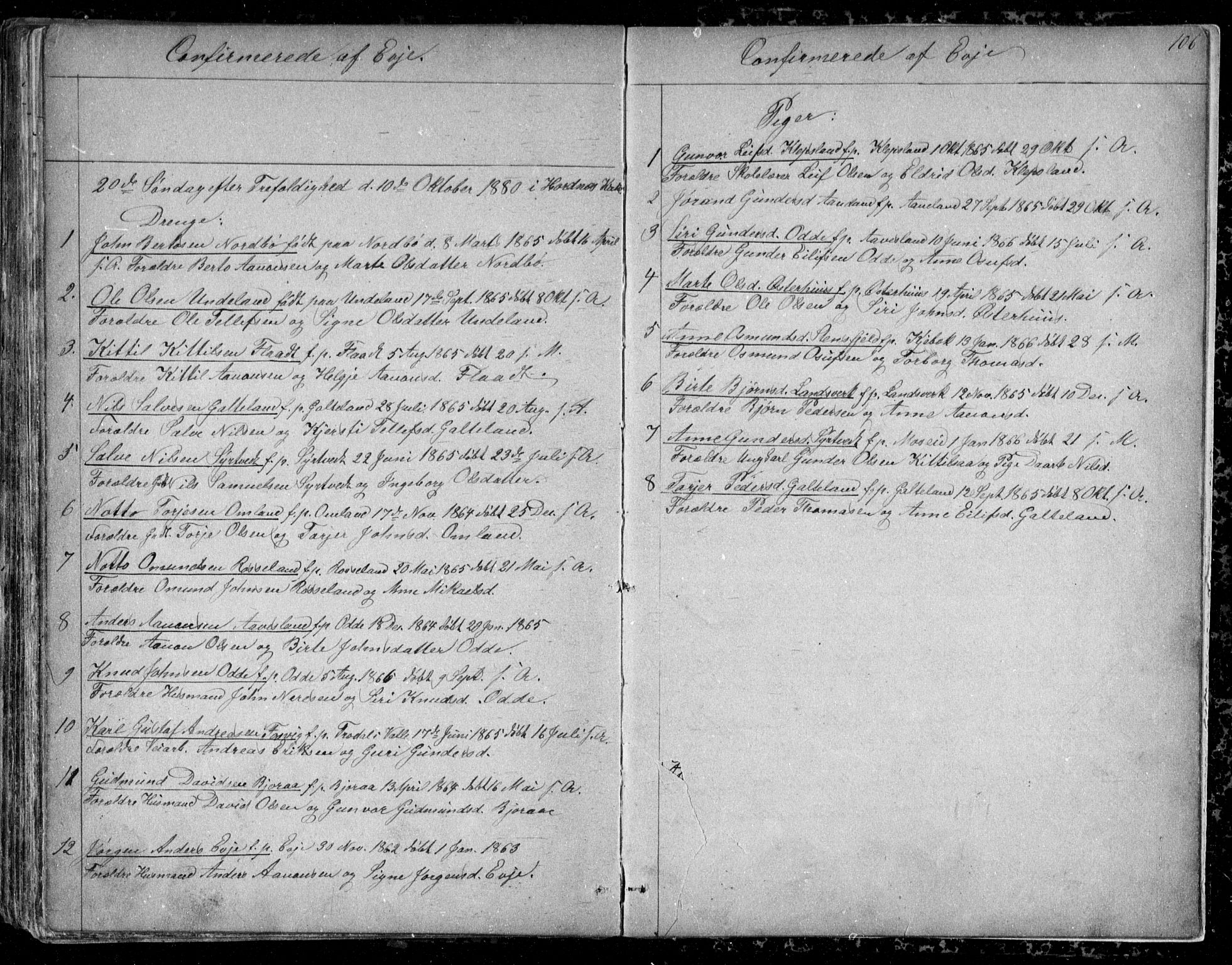 Evje sokneprestkontor, SAK/1111-0008/F/Fb/Fba/L0002: Parish register (copy) no. B 2, 1849-1896, p. 106