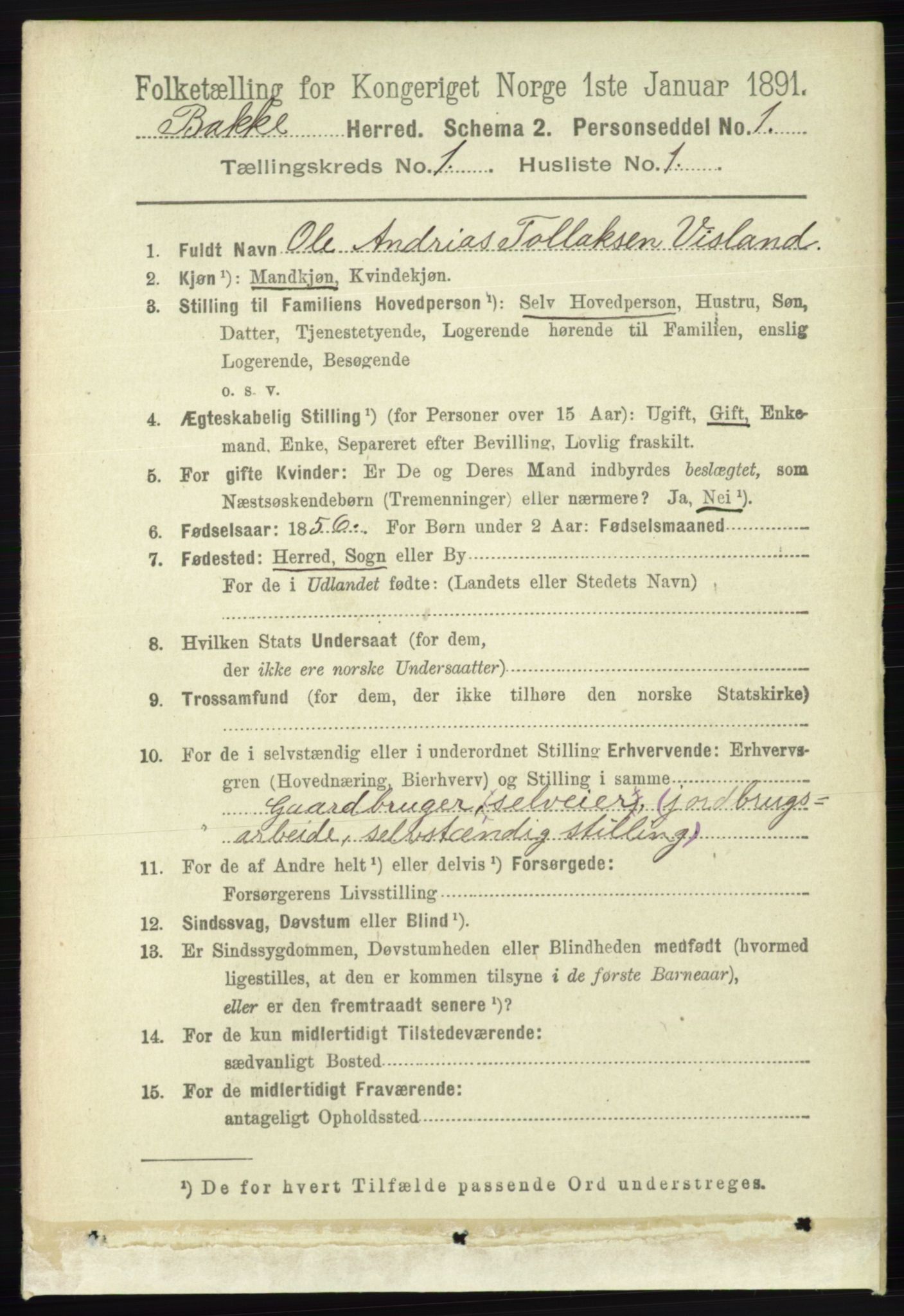 RA, 1891 census for 1045 Bakke, 1891, p. 66