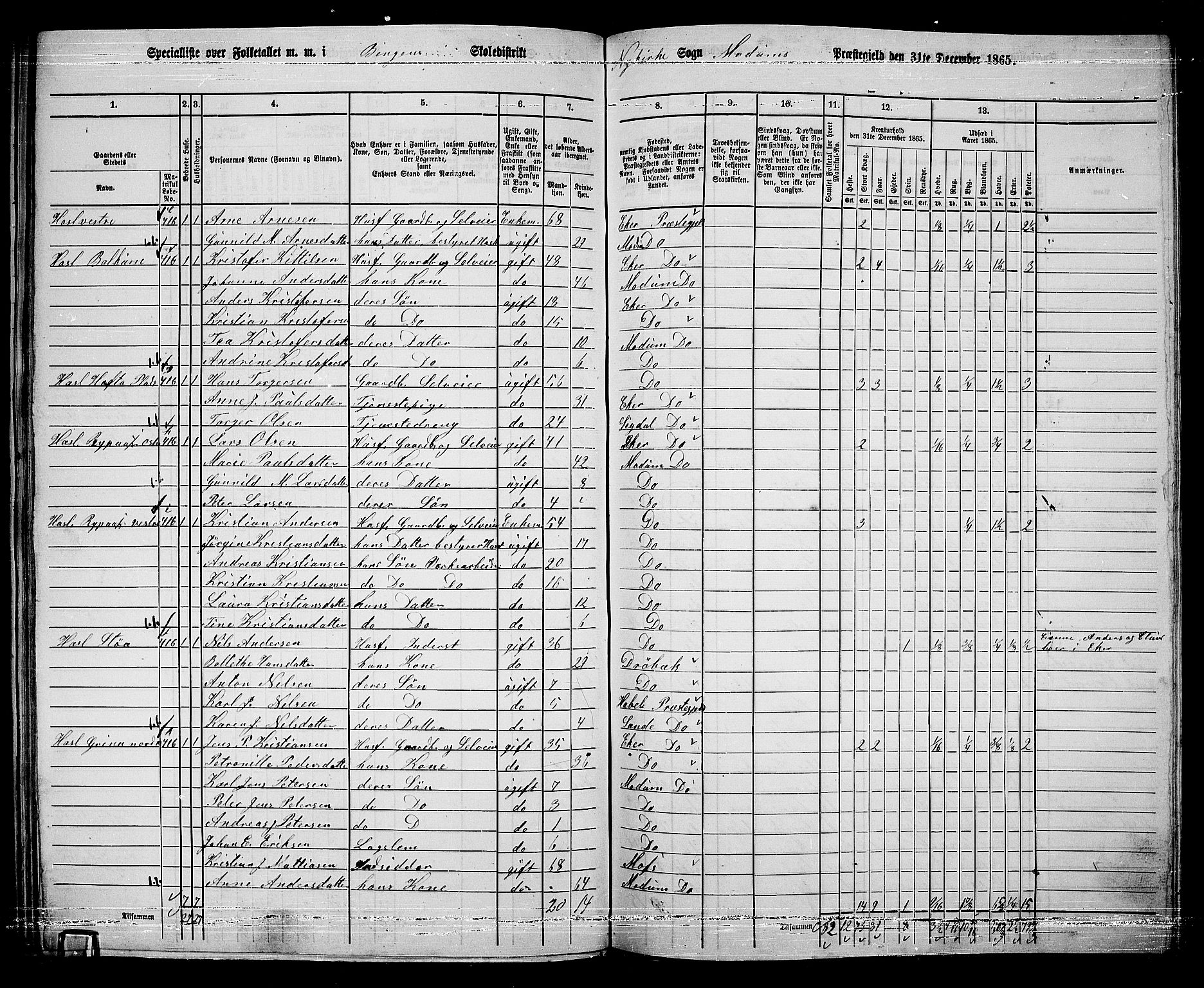 RA, 1865 census for Modum, 1865, p. 281