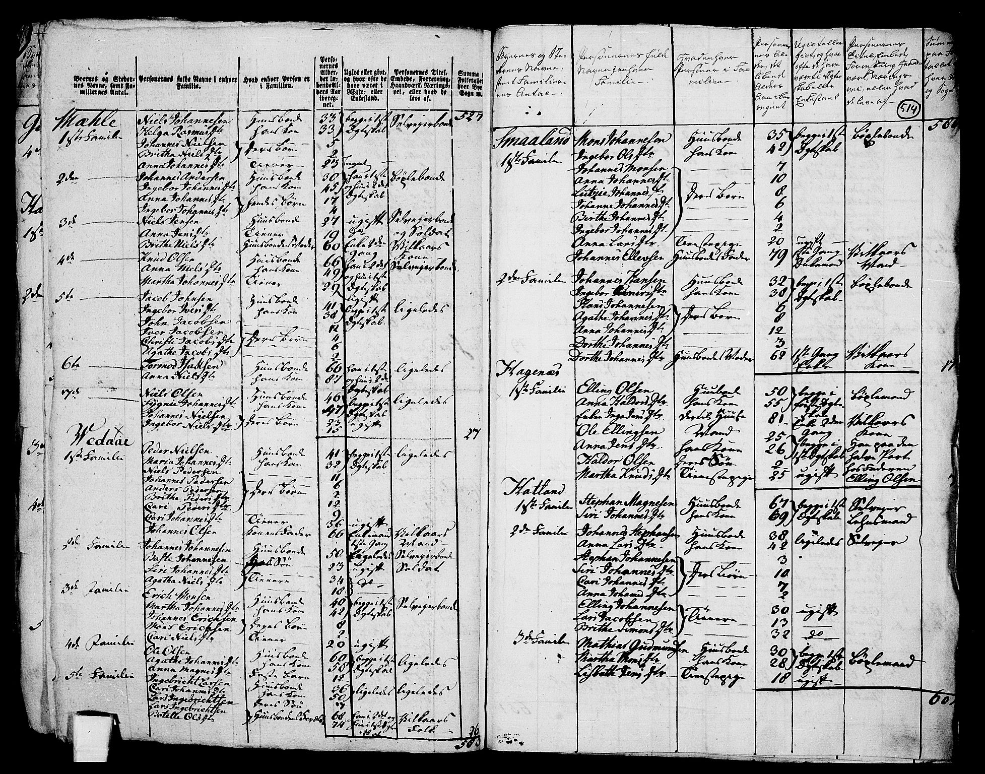 RA, 1801 census for 1250P Haus, 1801, p. 513b-514a