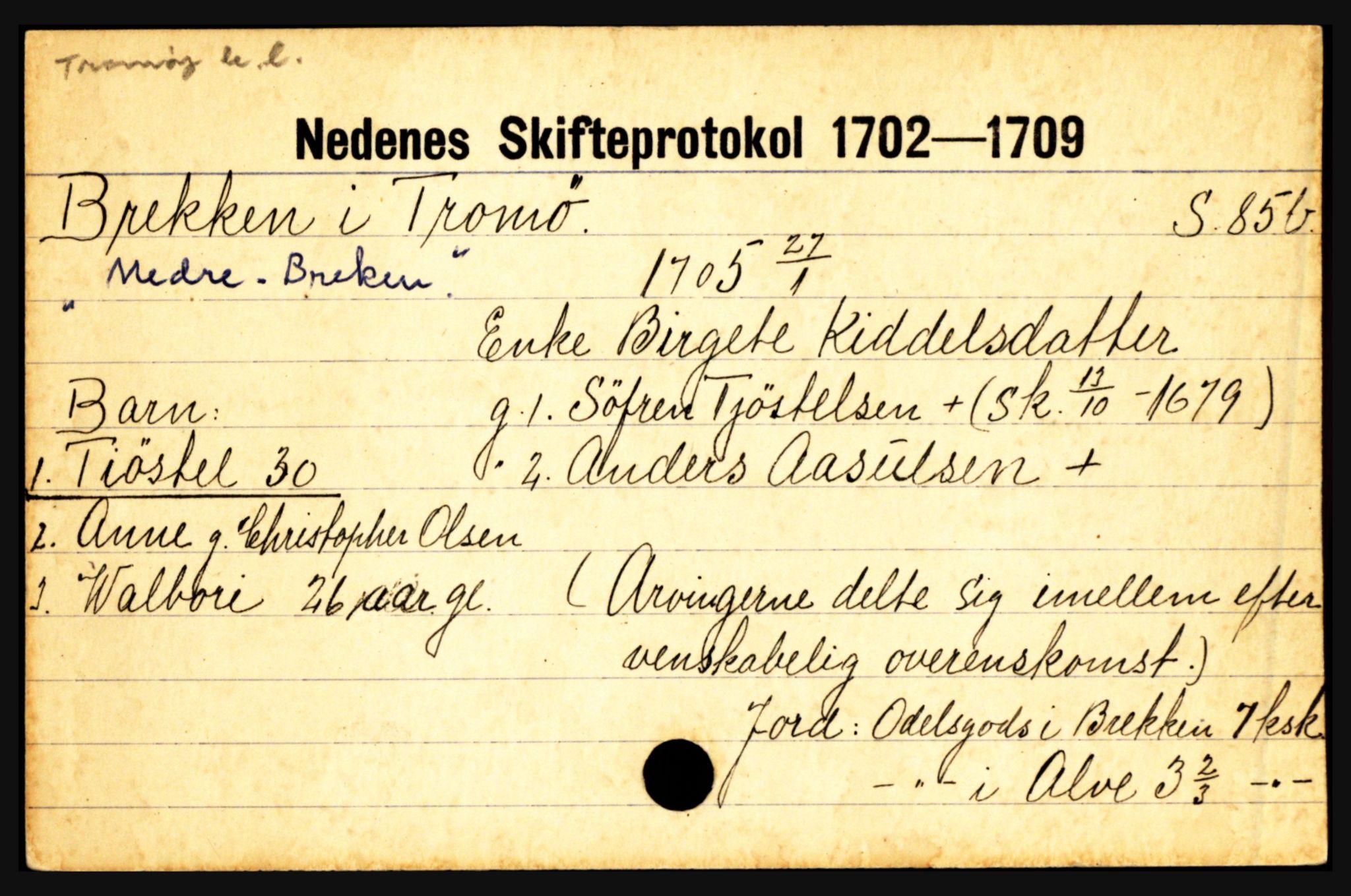 Nedenes sorenskriveri før 1824, AV/SAK-1221-0007/H, p. 3695