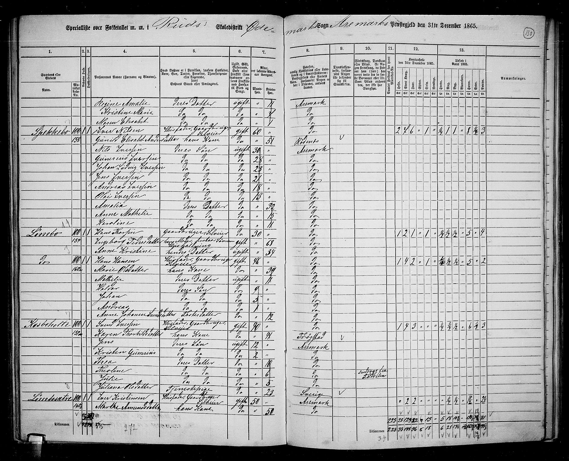 RA, 1865 census for Aremark, 1865, p. 119