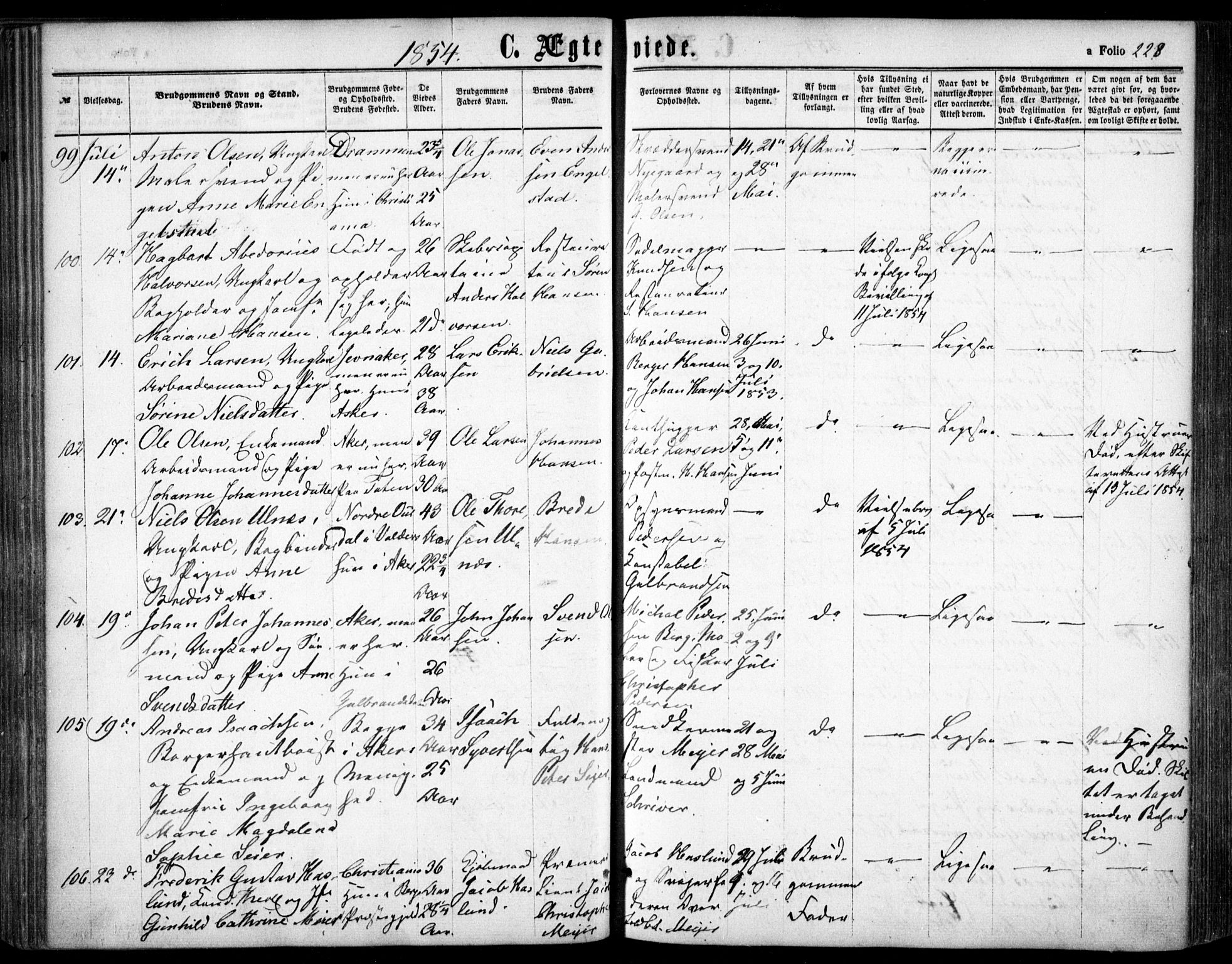 Oslo domkirke Kirkebøker, SAO/A-10752/F/Fa/L0020: Parish register (official) no. 20, 1848-1865, p. 228