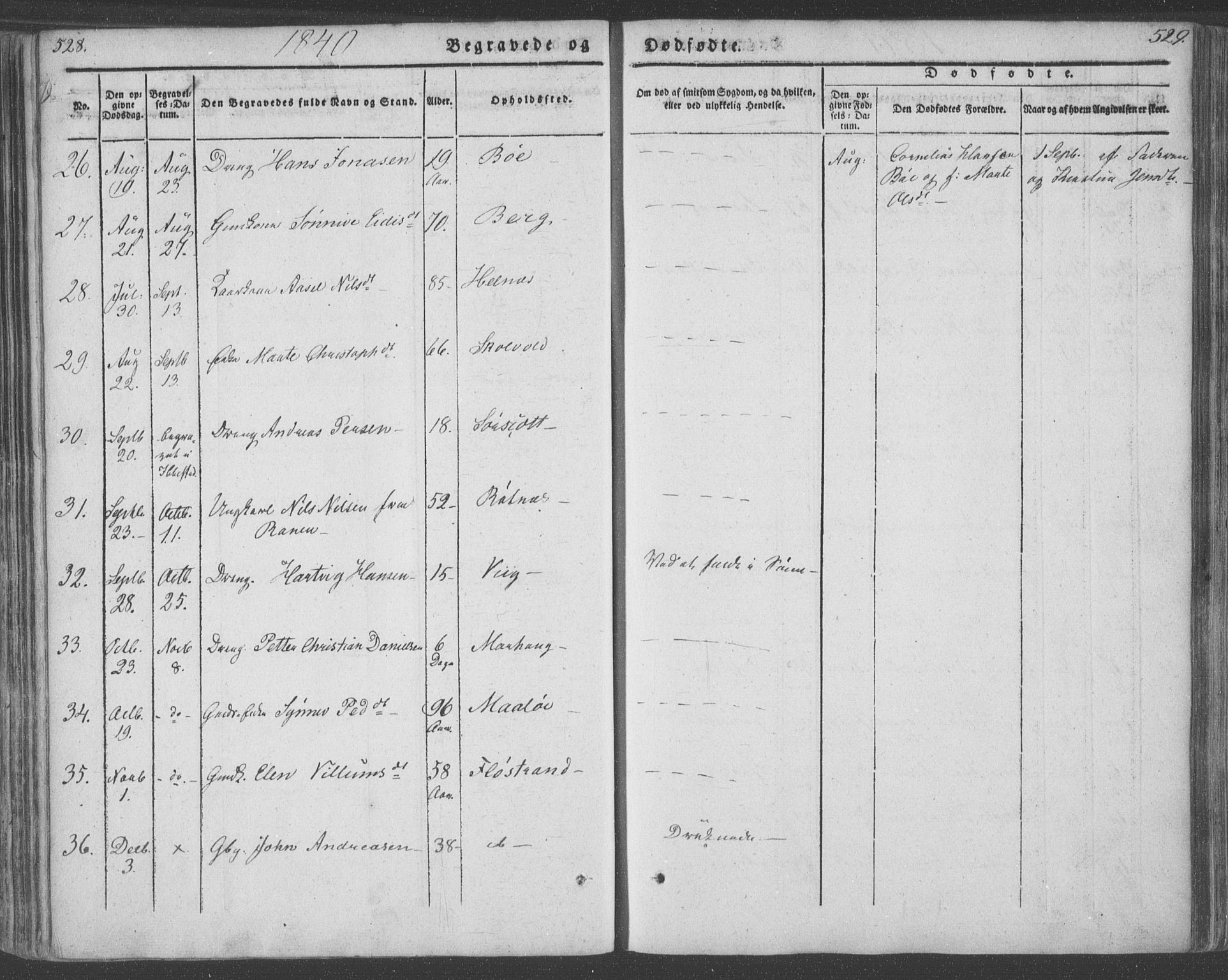 Ministerialprotokoller, klokkerbøker og fødselsregistre - Nordland, AV/SAT-A-1459/855/L0799: Parish register (official) no. 855A07, 1834-1852, p. 528-529