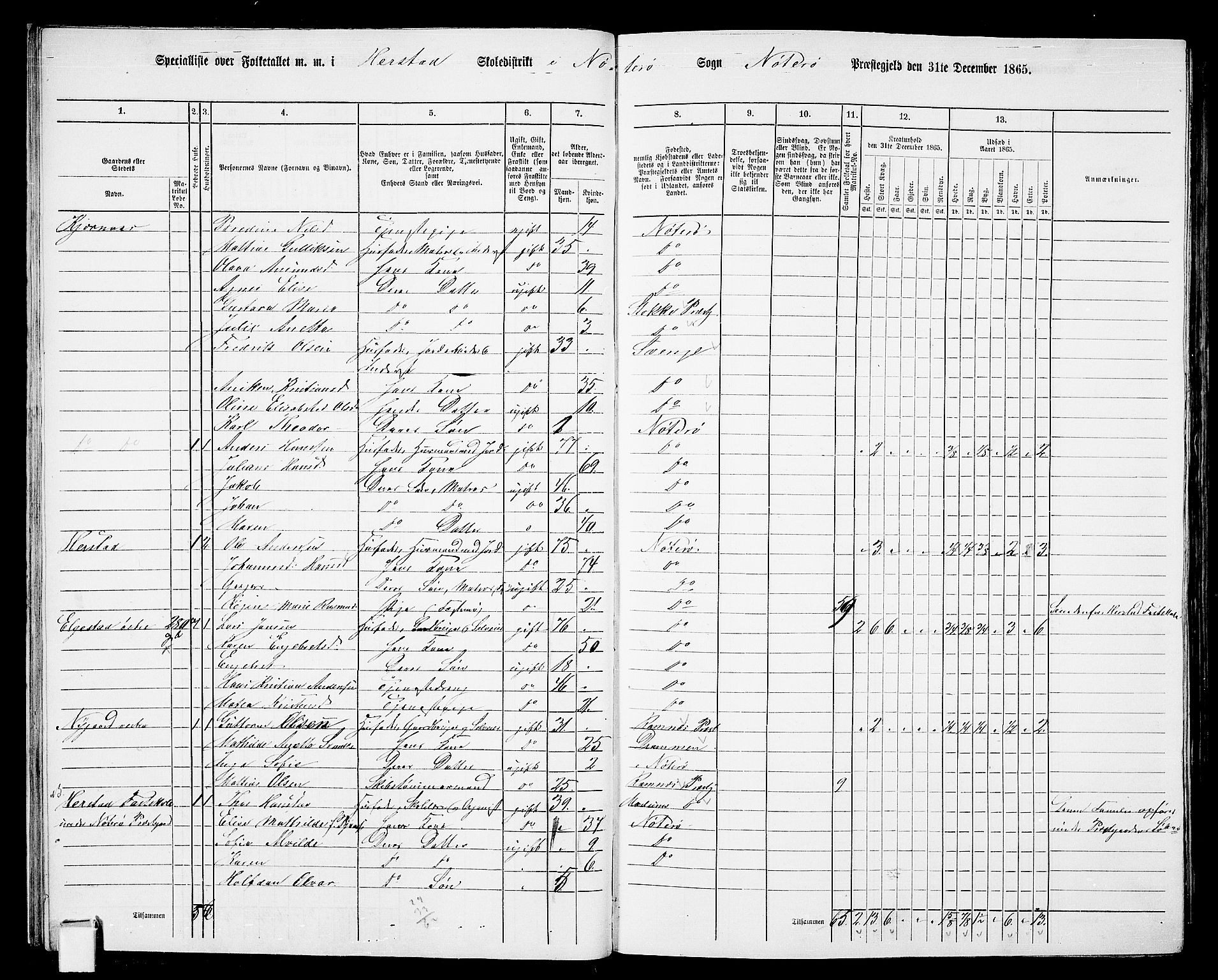 RA, 1865 census for Nøtterøy, 1865, p. 28