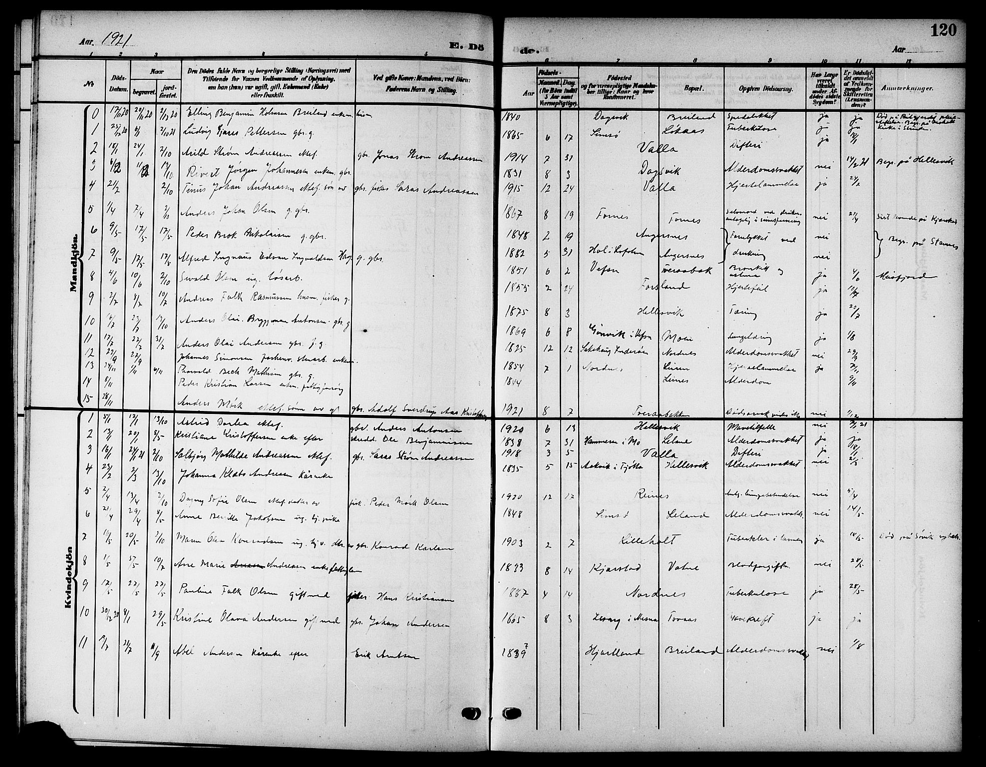 Ministerialprotokoller, klokkerbøker og fødselsregistre - Nordland, AV/SAT-A-1459/832/L0494: Parish register (copy) no. 832C01, 1906-1922, p. 120