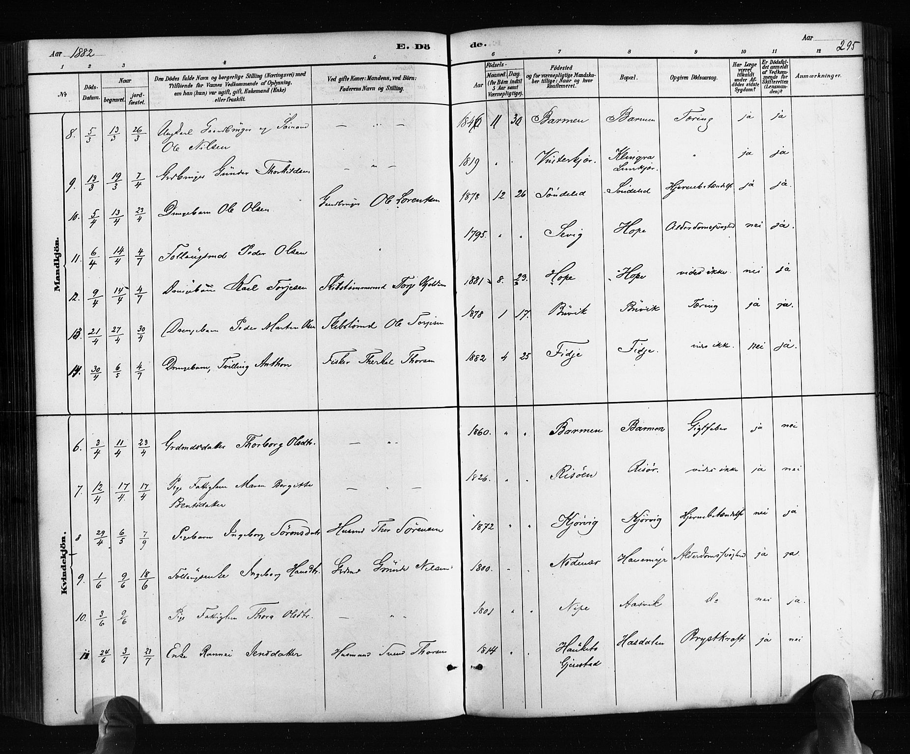 Søndeled sokneprestkontor, AV/SAK-1111-0038/F/Fa/L0004: Parish register (official) no. A 4, 1880-1889, p. 295