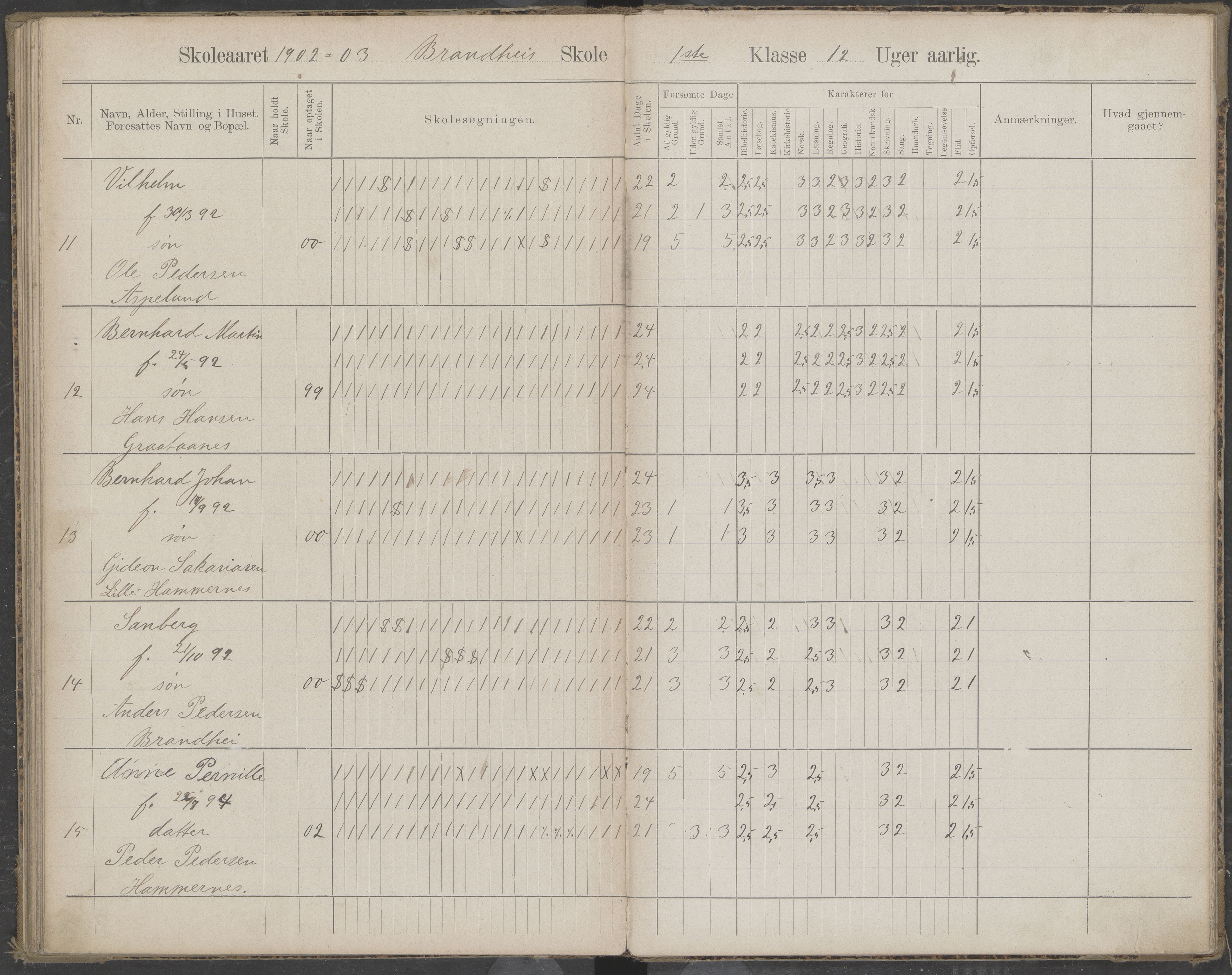 Beiarn kommune. Brandhei skolekrets, AIN/K-18390.510.03/442/L0003: Karakter/oversiktsprotokoll, 1893-1910