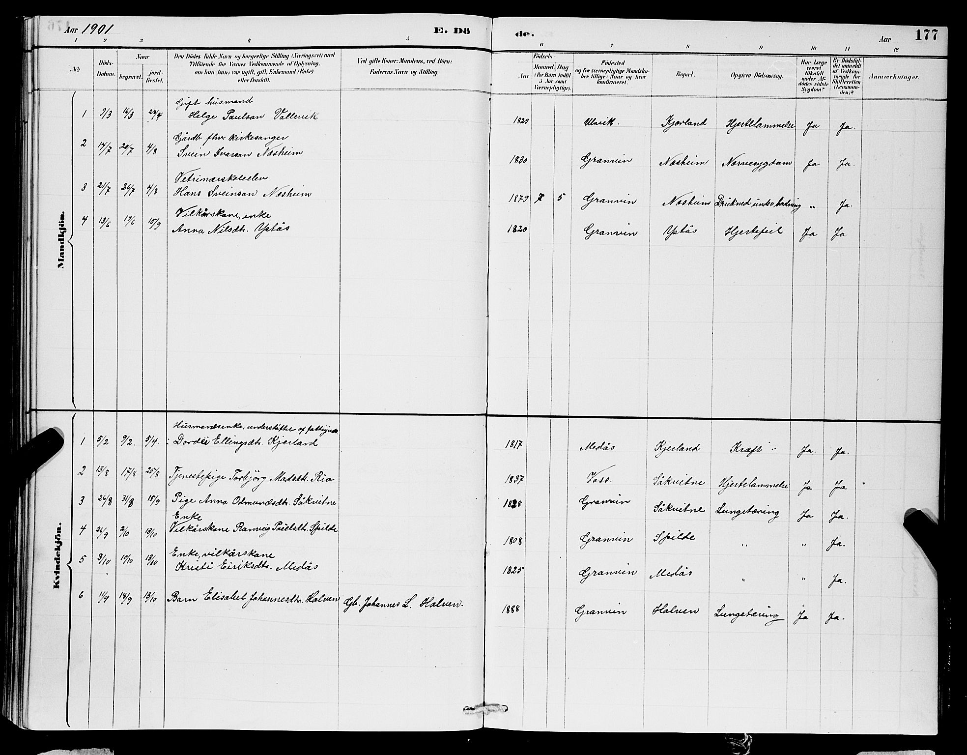 Ulvik sokneprestembete, SAB/A-78801/H/Hab: Parish register (copy) no. B 3, 1884-1901, p. 177