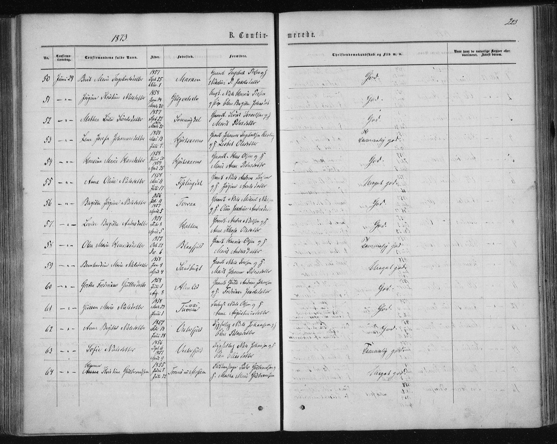 Ministerialprotokoller, klokkerbøker og fødselsregistre - Nordland, AV/SAT-A-1459/820/L0294: Parish register (official) no. 820A15, 1866-1879, p. 223