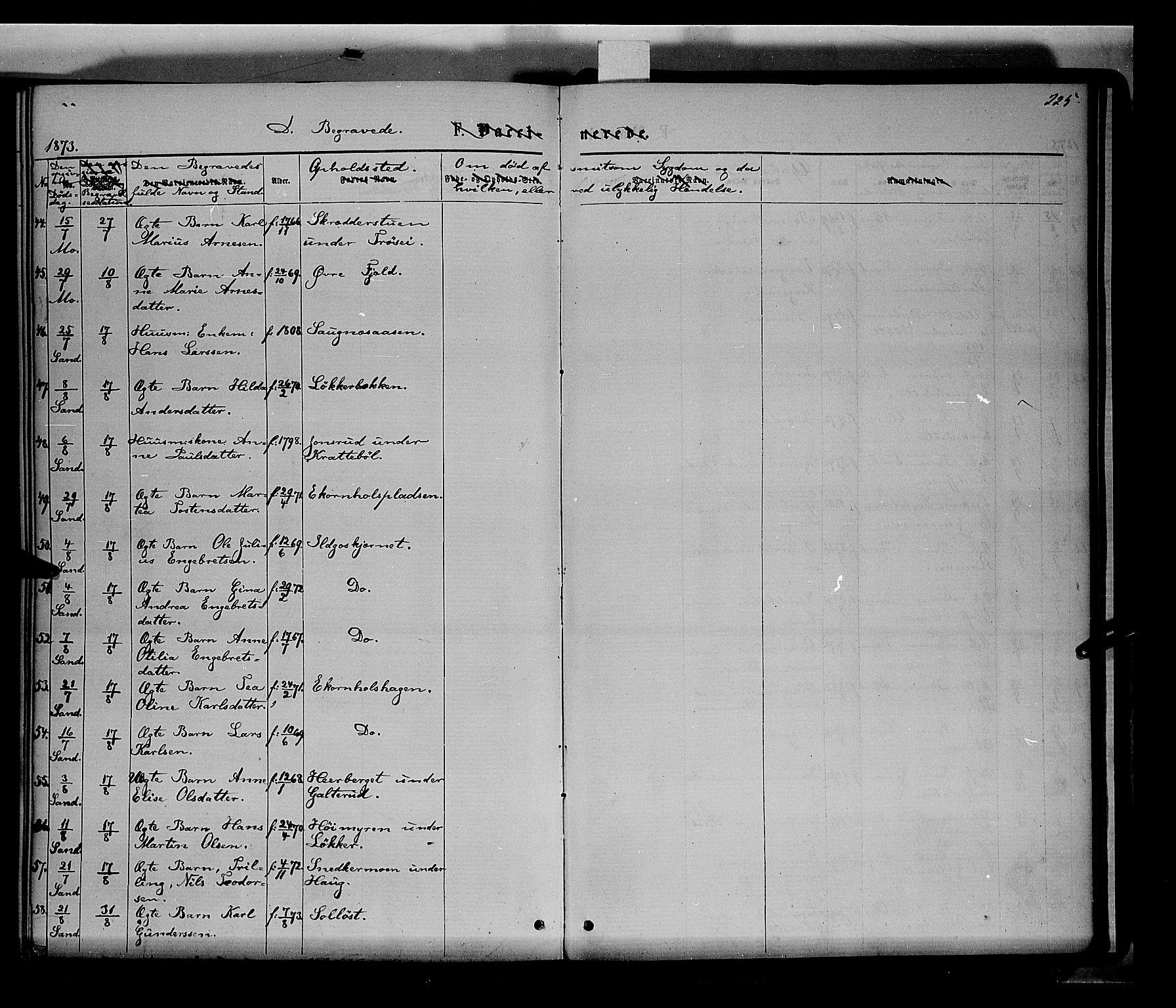 Nord-Odal prestekontor, AV/SAH-PREST-032/H/Ha/Haa/L0004: Parish register (official) no. 4, 1866-1873, p. 225