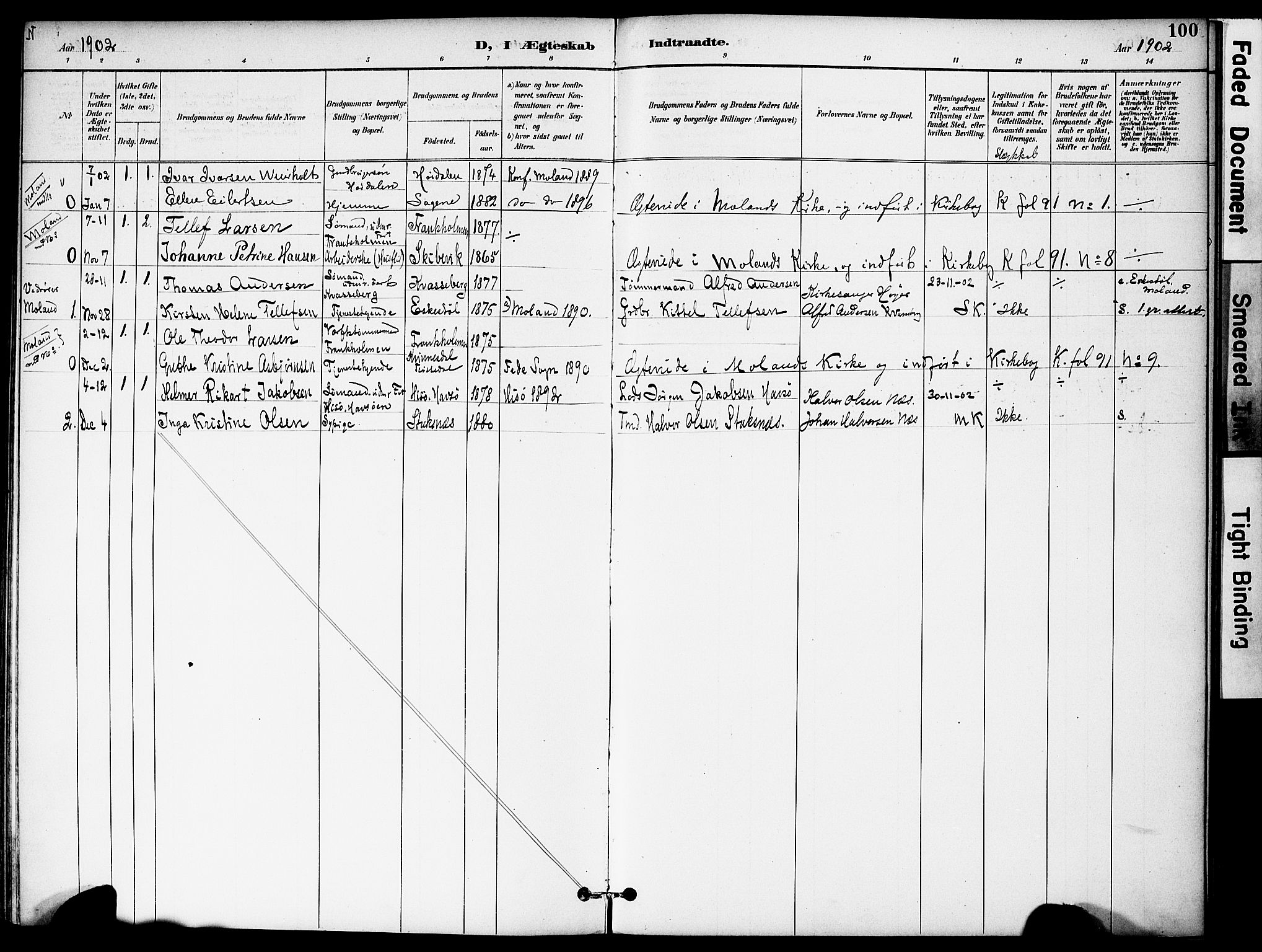 Austre Moland sokneprestkontor, AV/SAK-1111-0001/F/Fa/Fab/L0002: Parish register (official) no. A 2, 1894-1919, p. 100