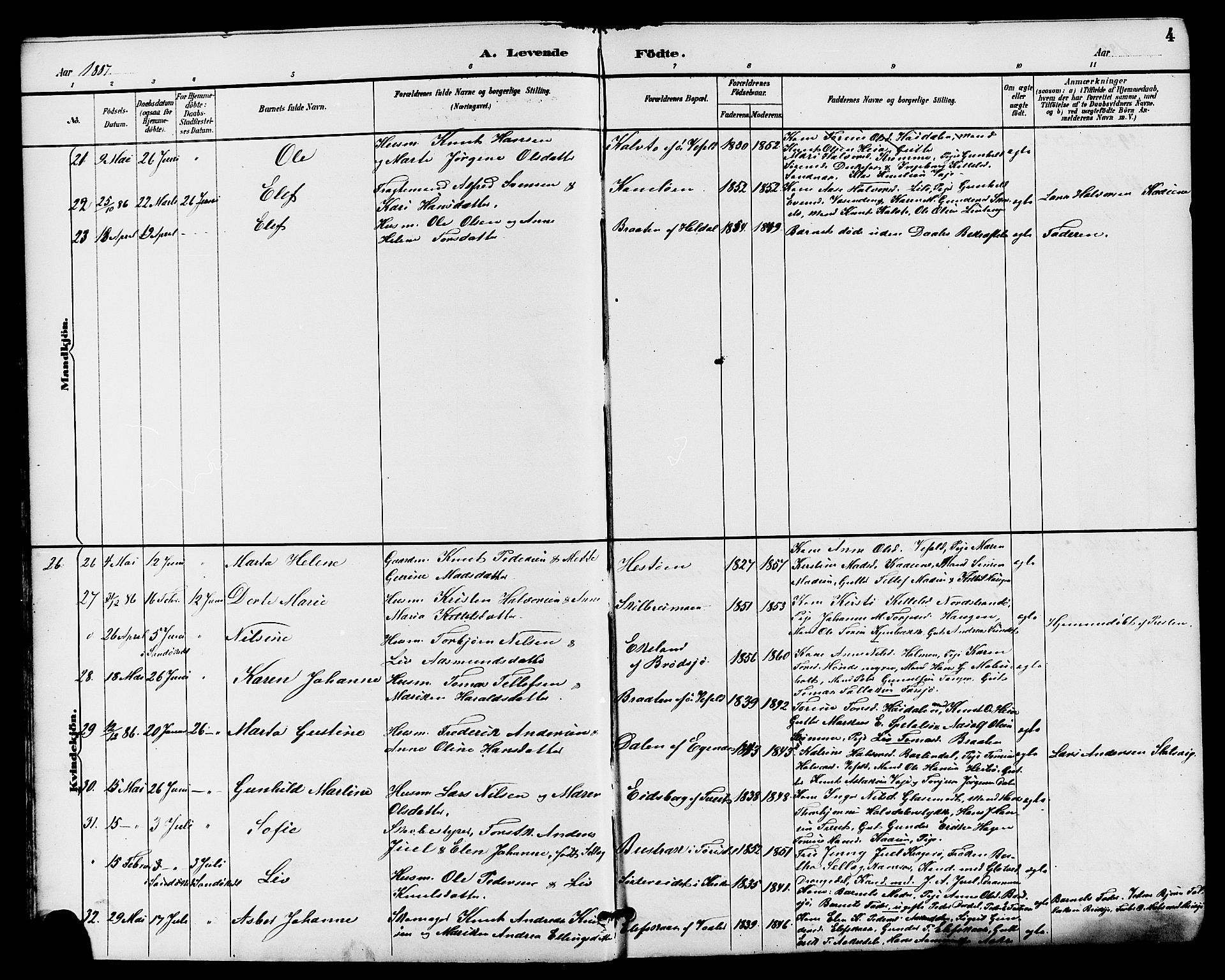 Drangedal kirkebøker, AV/SAKO-A-258/G/Ga/L0003: Parish register (copy) no. I 3, 1887-1906, p. 4