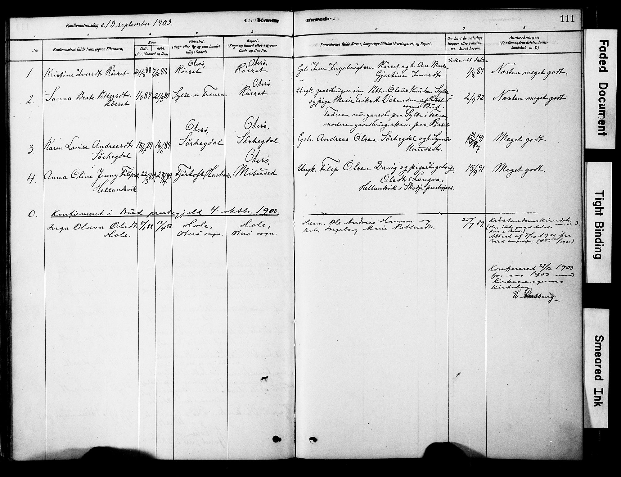 Ministerialprotokoller, klokkerbøker og fødselsregistre - Møre og Romsdal, AV/SAT-A-1454/563/L0736: Parish register (official) no. 563A01, 1878-1903, p. 111