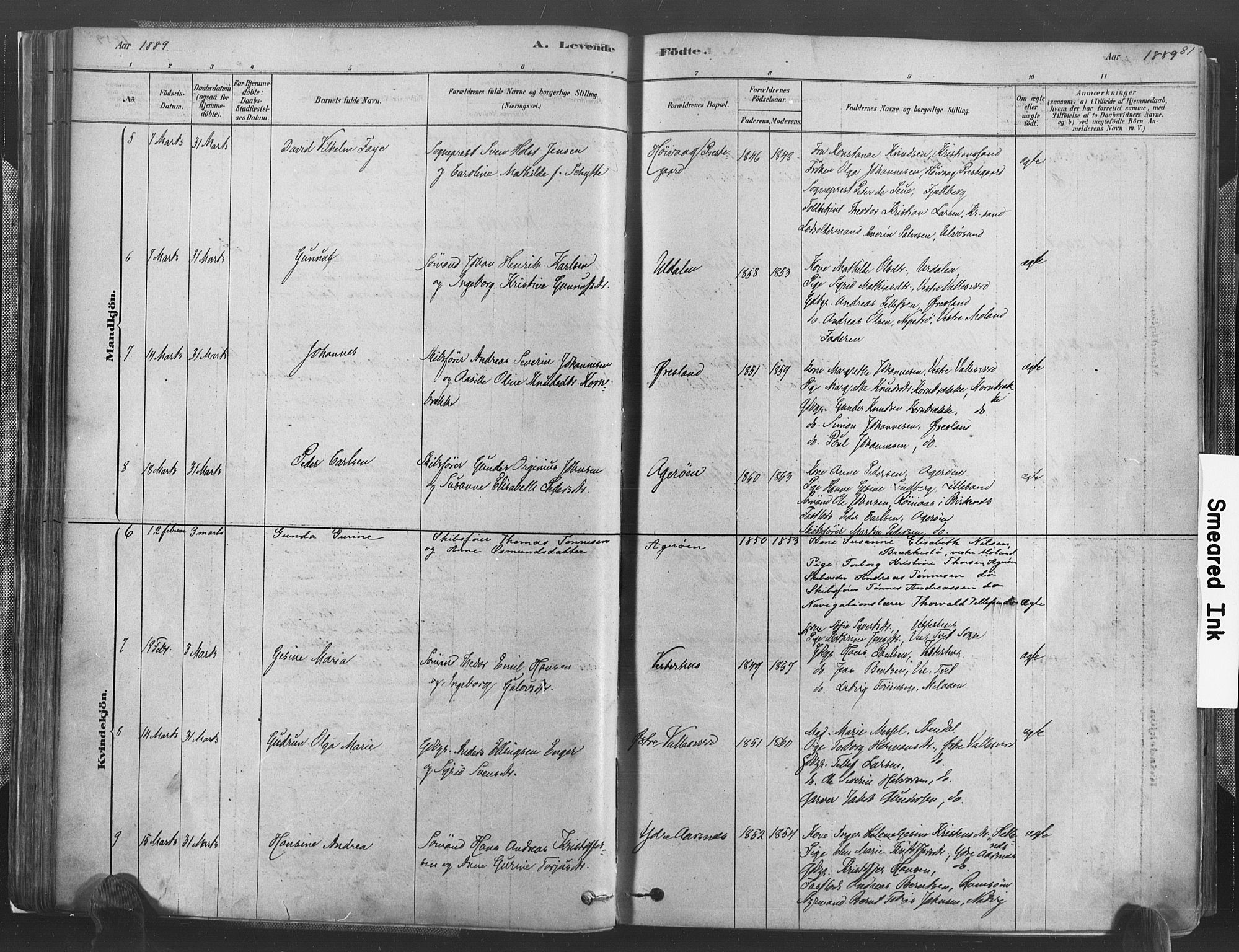 Høvåg sokneprestkontor, AV/SAK-1111-0025/F/Fa/L0005: Parish register (official) no. A 5, 1878-1893, p. 81