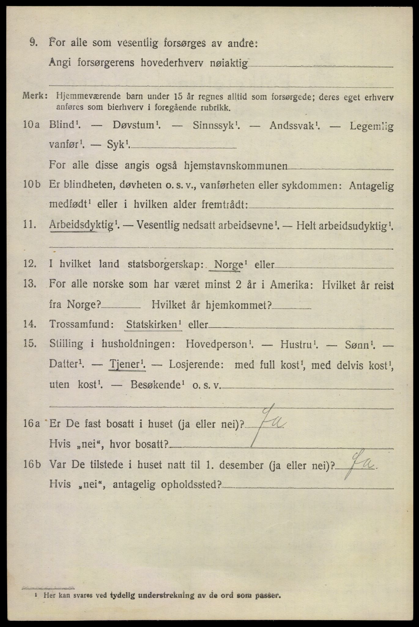 SAKO, 1920 census for Våle, 1920, p. 1251