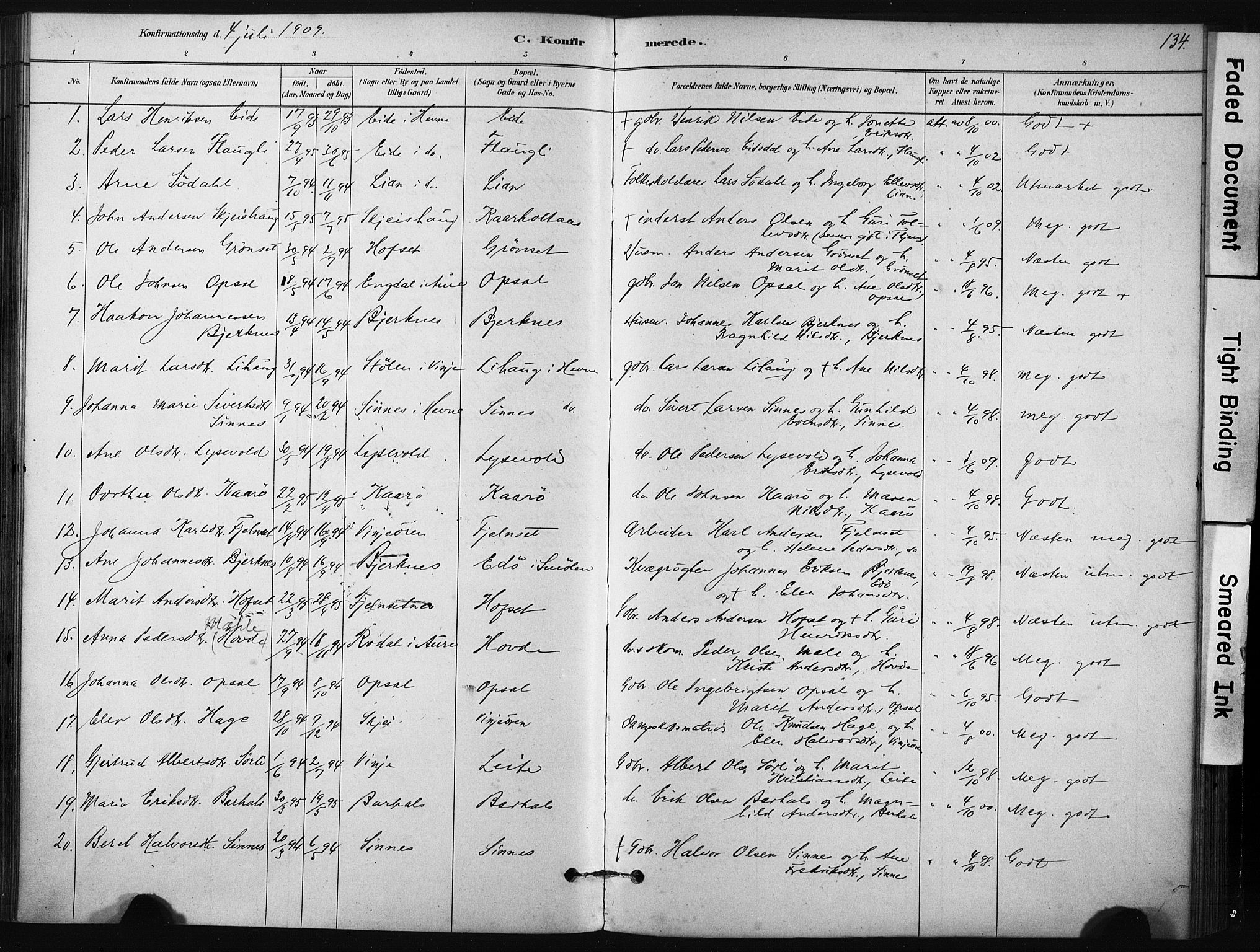 Ministerialprotokoller, klokkerbøker og fødselsregistre - Sør-Trøndelag, AV/SAT-A-1456/631/L0512: Parish register (official) no. 631A01, 1879-1912, p. 134