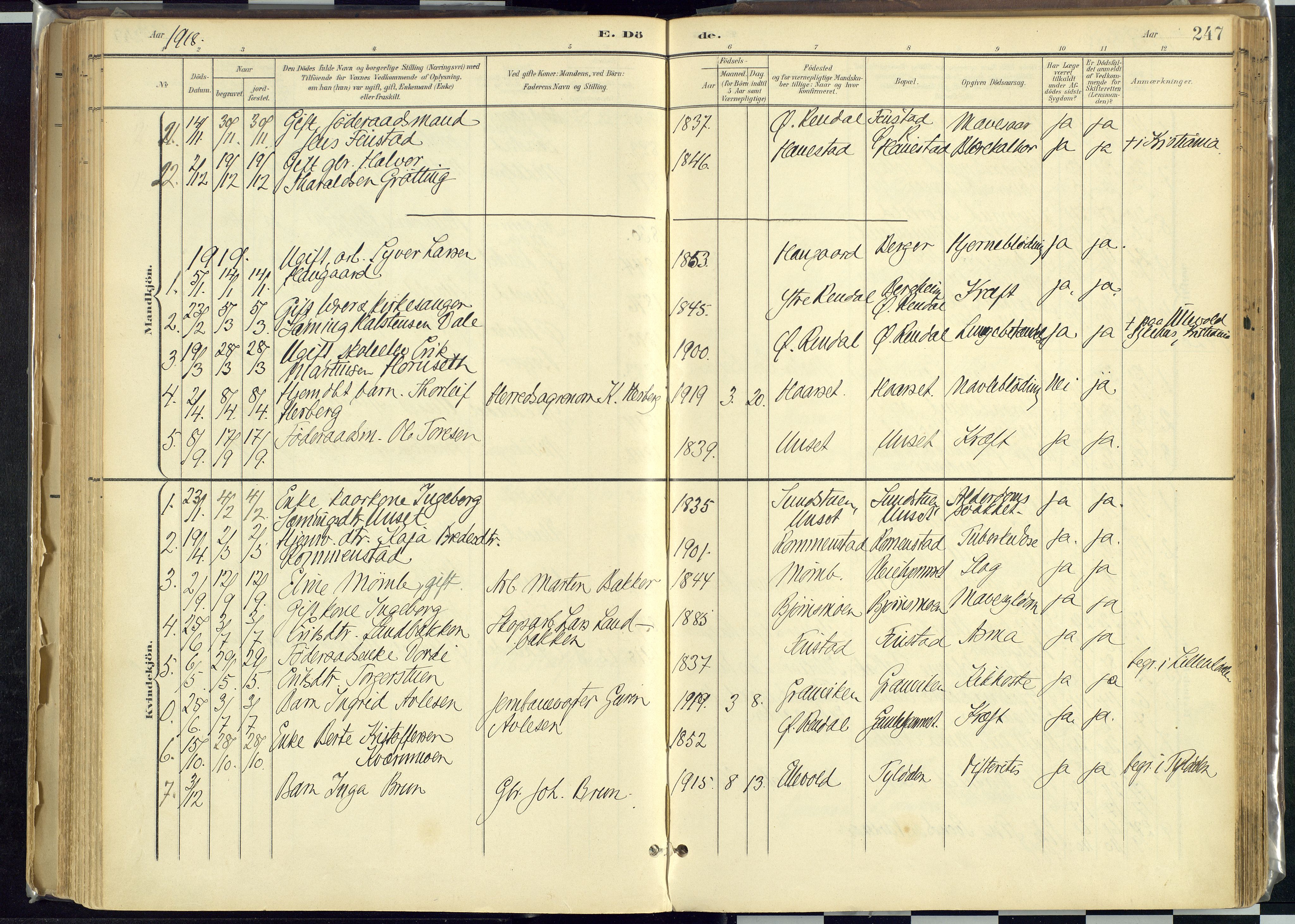 Rendalen prestekontor, AV/SAH-PREST-054/H/Ha/Haa/L0012: Parish register (official) no. 12, 1901-1928, p. 247