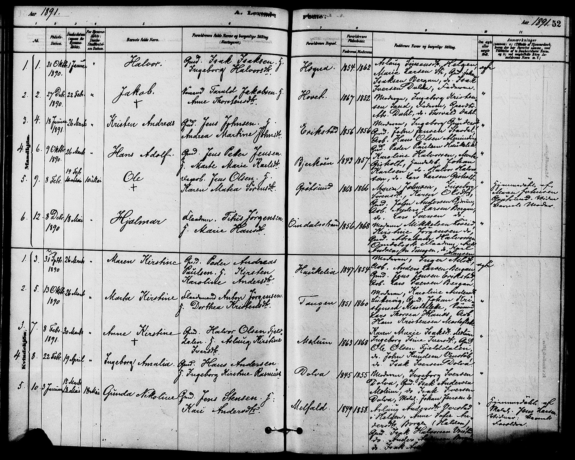 Solum kirkebøker, AV/SAKO-A-306/F/Fb/L0001: Parish register (official) no. II 1, 1877-1892, p. 52