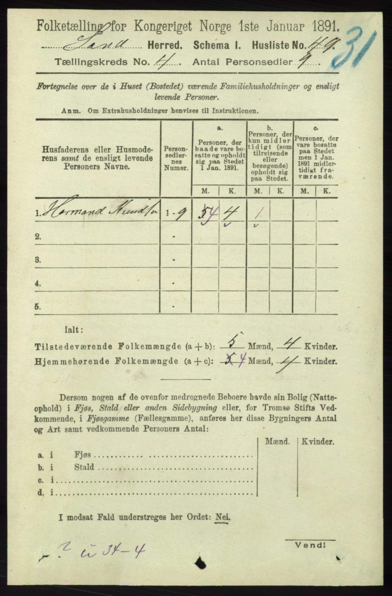 RA, 1891 census for 1136 Sand, 1891, p. 1202