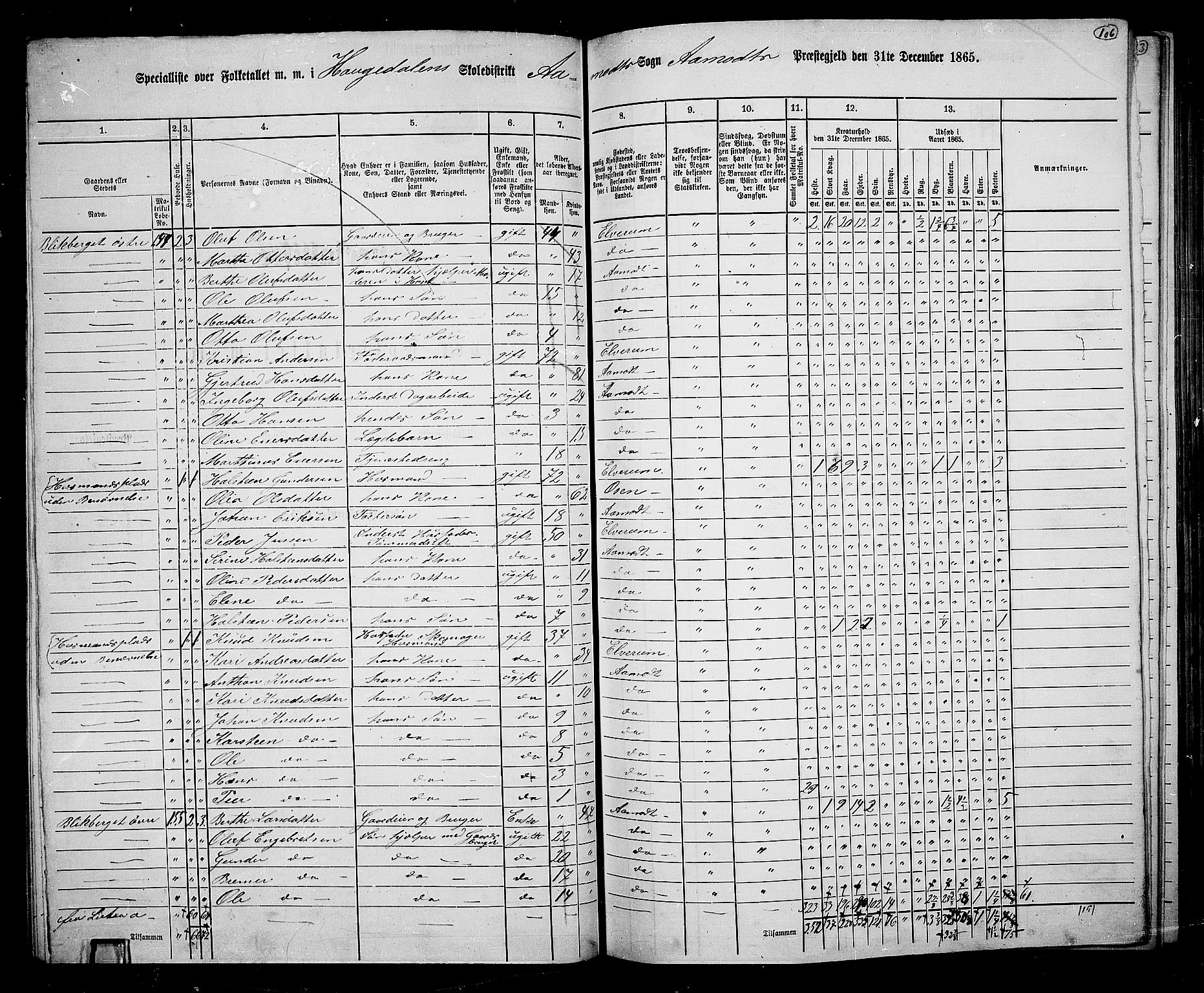 RA, 1865 census for Åmot, 1865, p. 98