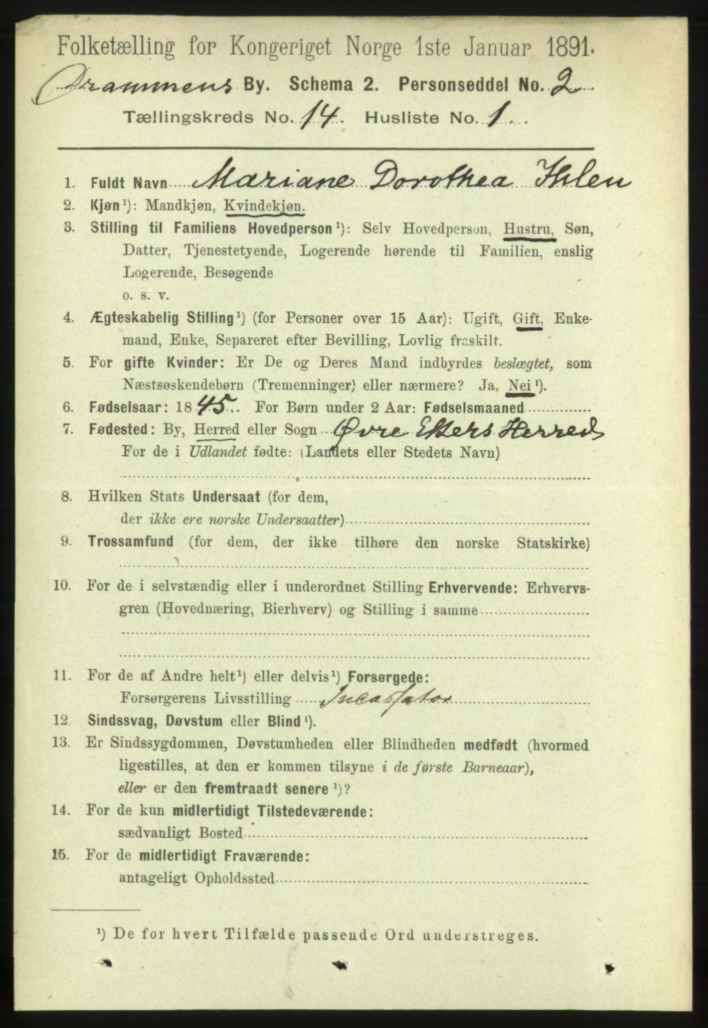 RA, 1891 census for 0602 Drammen, 1891, p. 10057