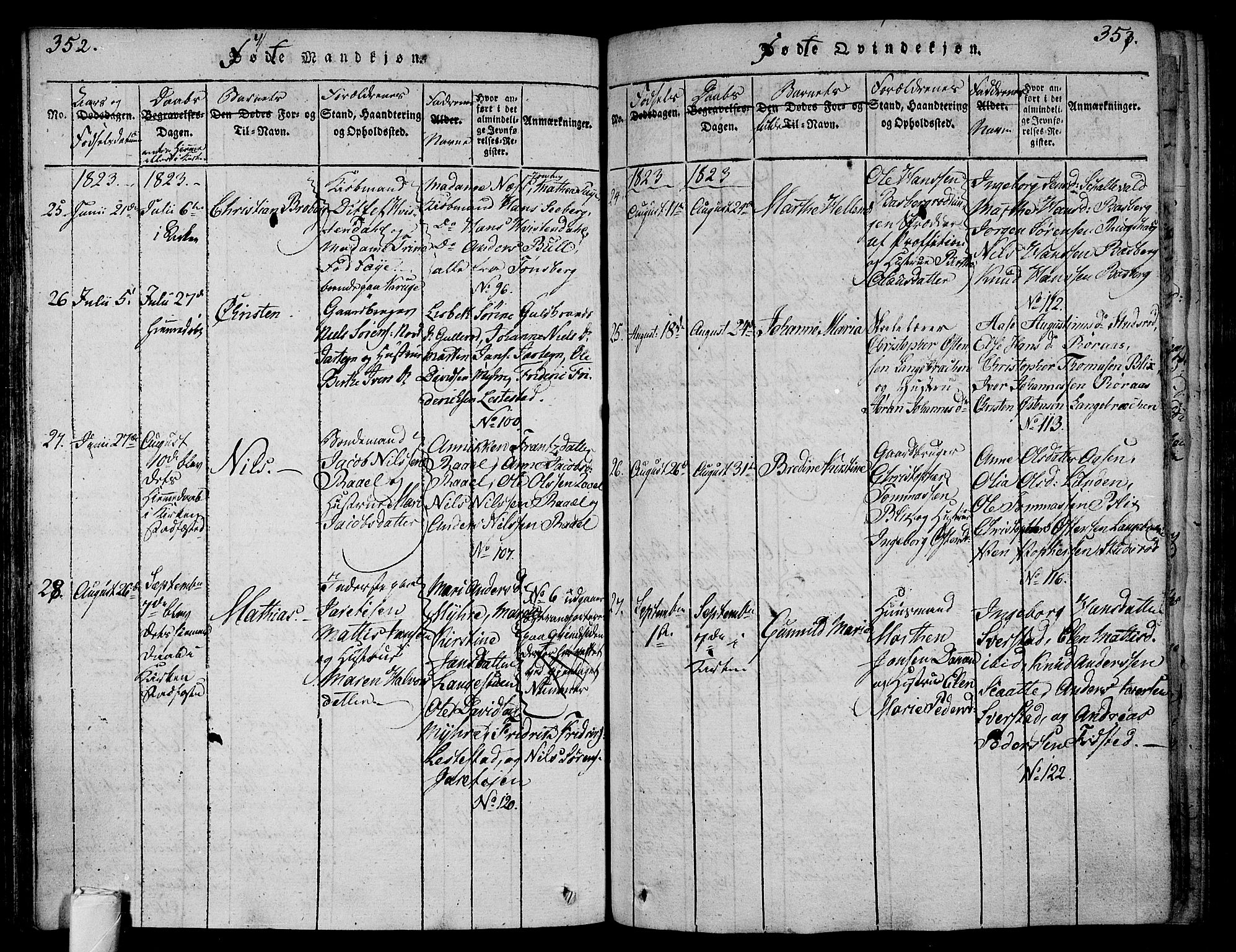 Sem kirkebøker, AV/SAKO-A-5/F/Fa/L0004: Parish register (official) no. I 4, 1814-1825, p. 352-353