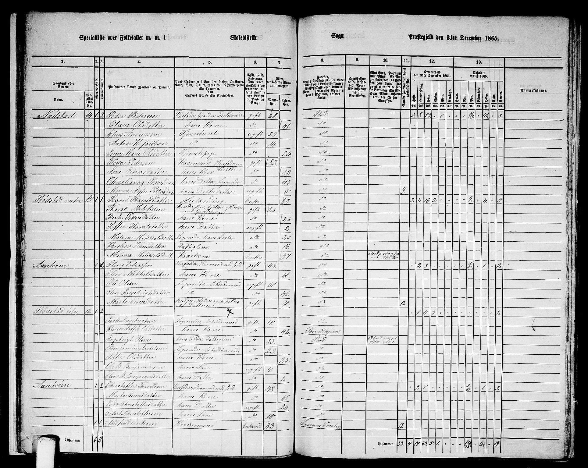 RA, 1865 census for Stod, 1865, p. 19