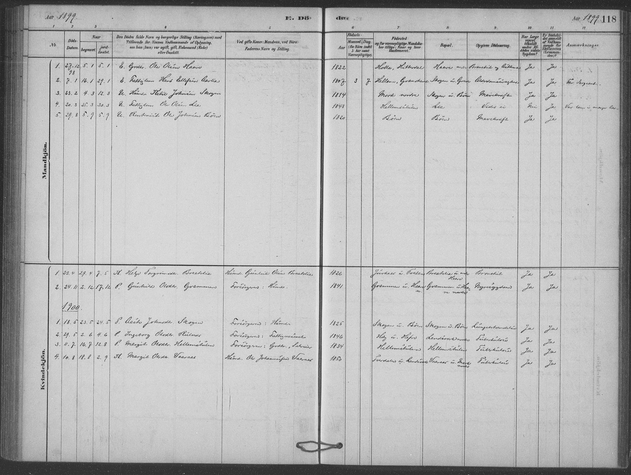 Heddal kirkebøker, SAKO/A-268/F/Fb/L0002: Parish register (official) no. II 2, 1878-1913, p. 118
