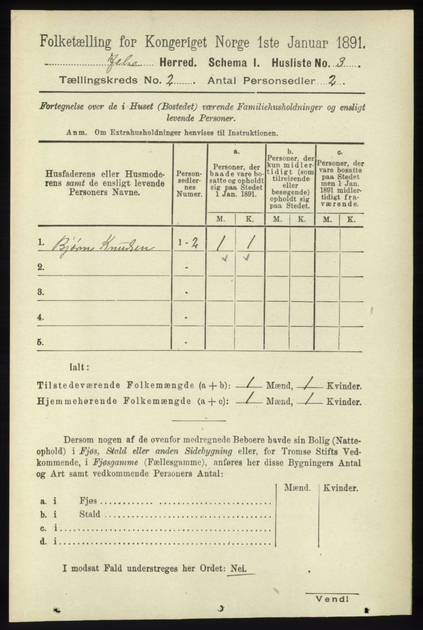 RA, 1891 census for 1138 Jelsa, 1891, p. 229