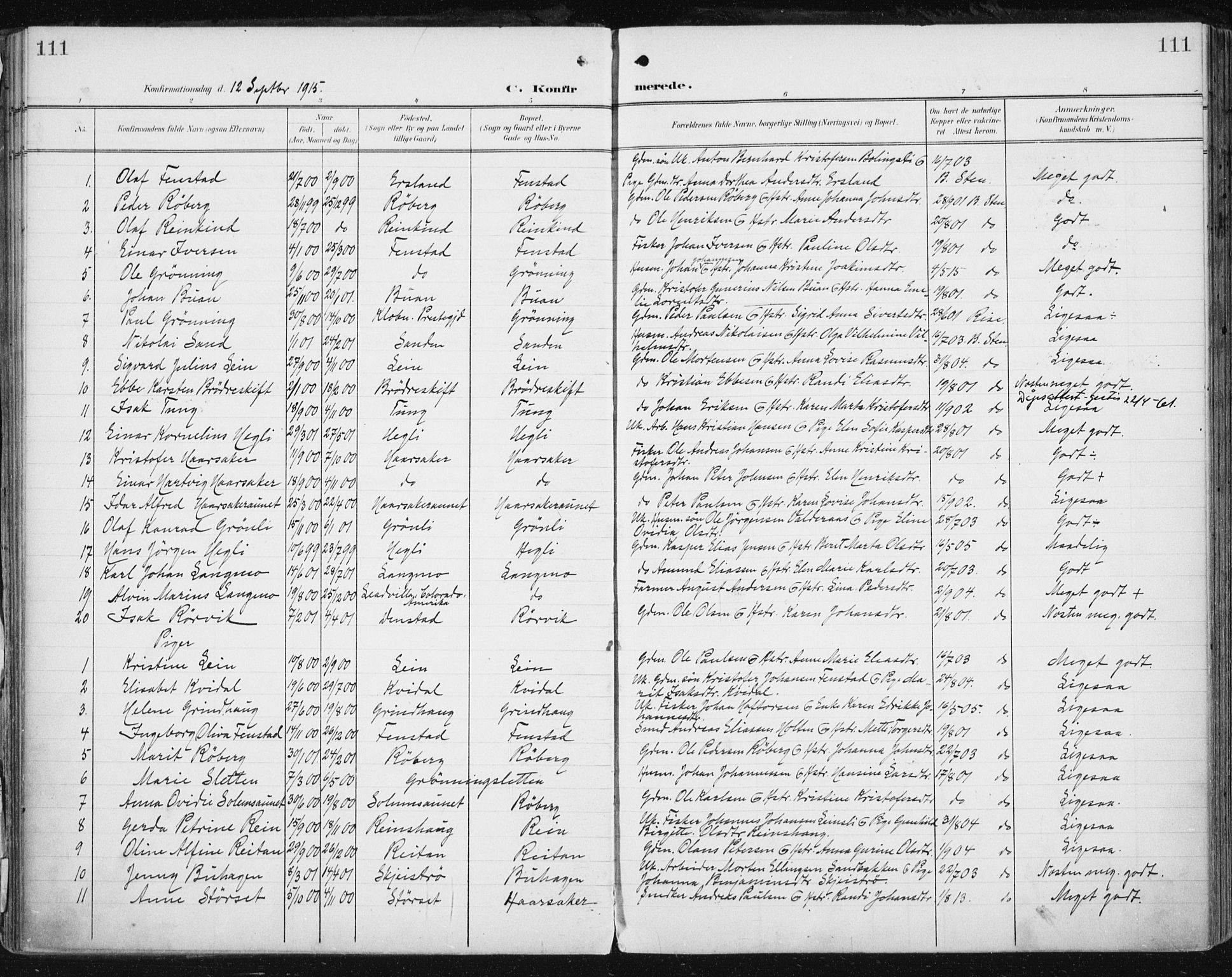 Ministerialprotokoller, klokkerbøker og fødselsregistre - Sør-Trøndelag, SAT/A-1456/646/L0616: Parish register (official) no. 646A14, 1900-1918, p. 111