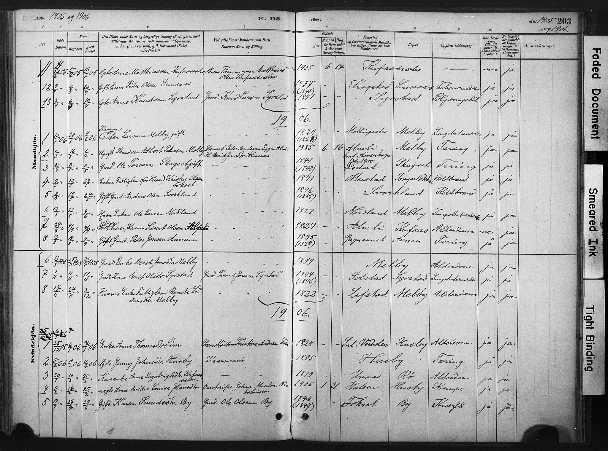 Ministerialprotokoller, klokkerbøker og fødselsregistre - Sør-Trøndelag, AV/SAT-A-1456/667/L0795: Parish register (official) no. 667A03, 1879-1907, p. 203