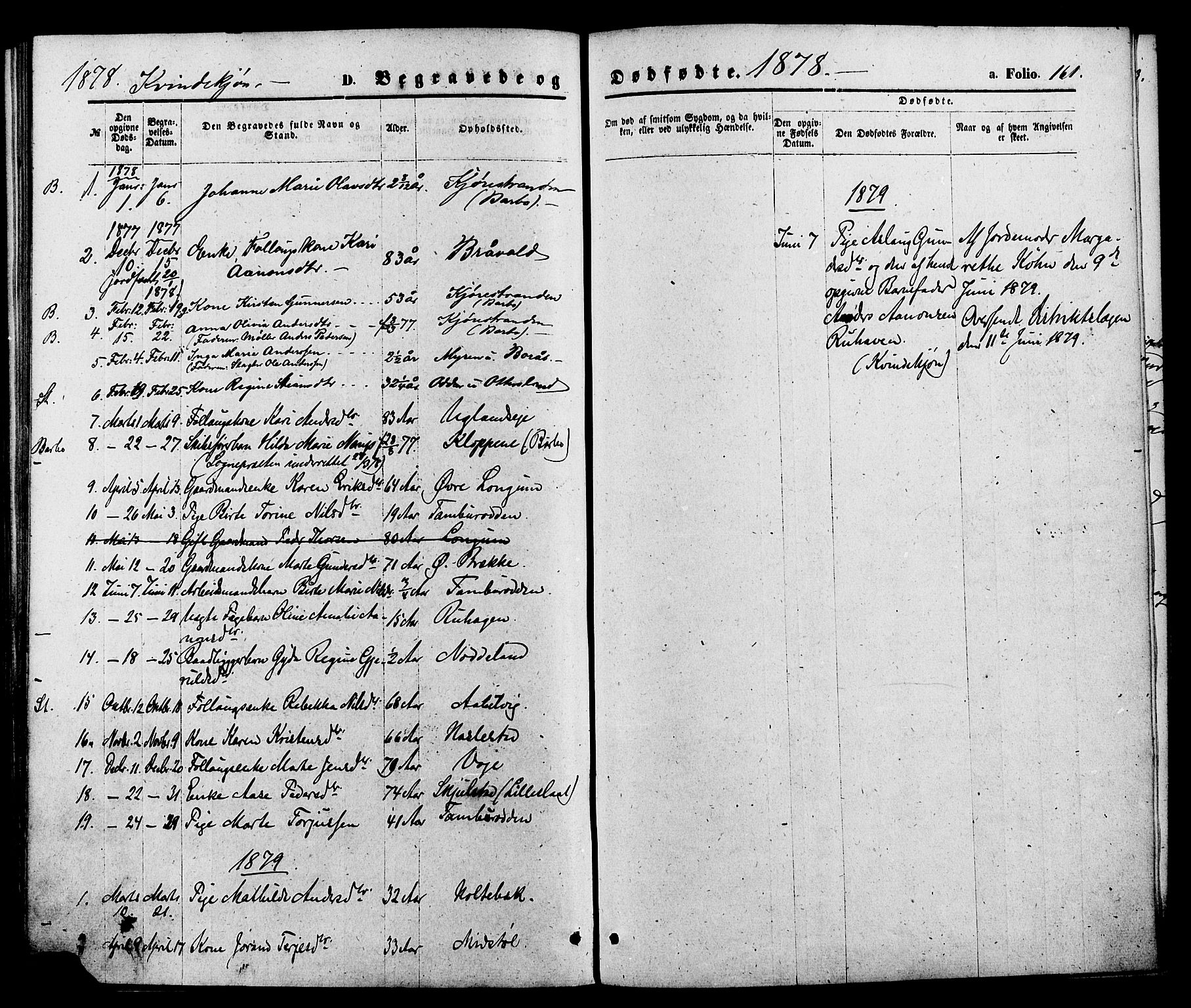 Austre Moland sokneprestkontor, AV/SAK-1111-0001/F/Fa/Faa/L0009: Parish register (official) no. A 9, 1869-1879, p. 161