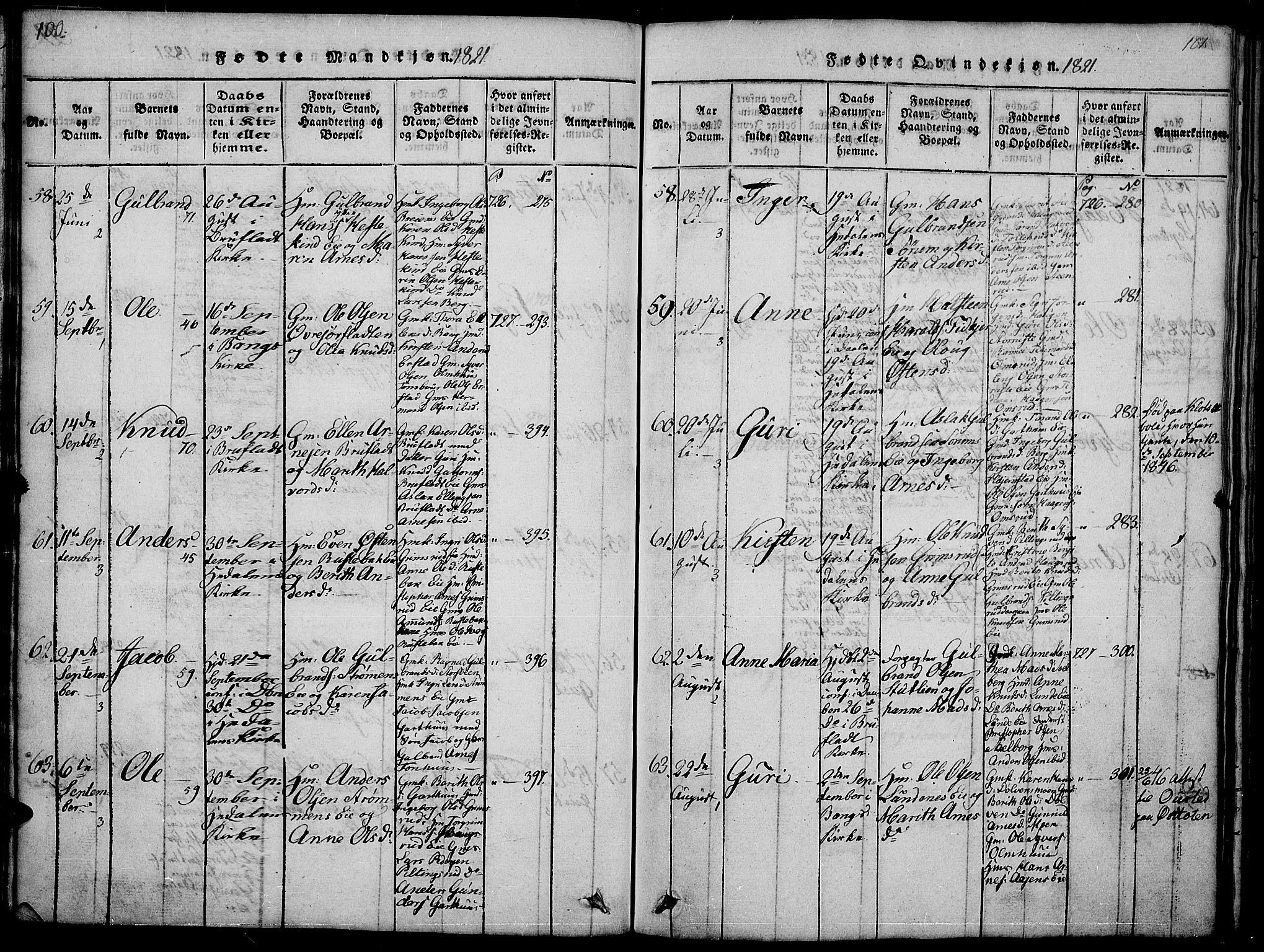 Sør-Aurdal prestekontor, AV/SAH-PREST-128/H/Ha/Hab/L0001: Parish register (copy) no. 1, 1815-1826, p. 100-101