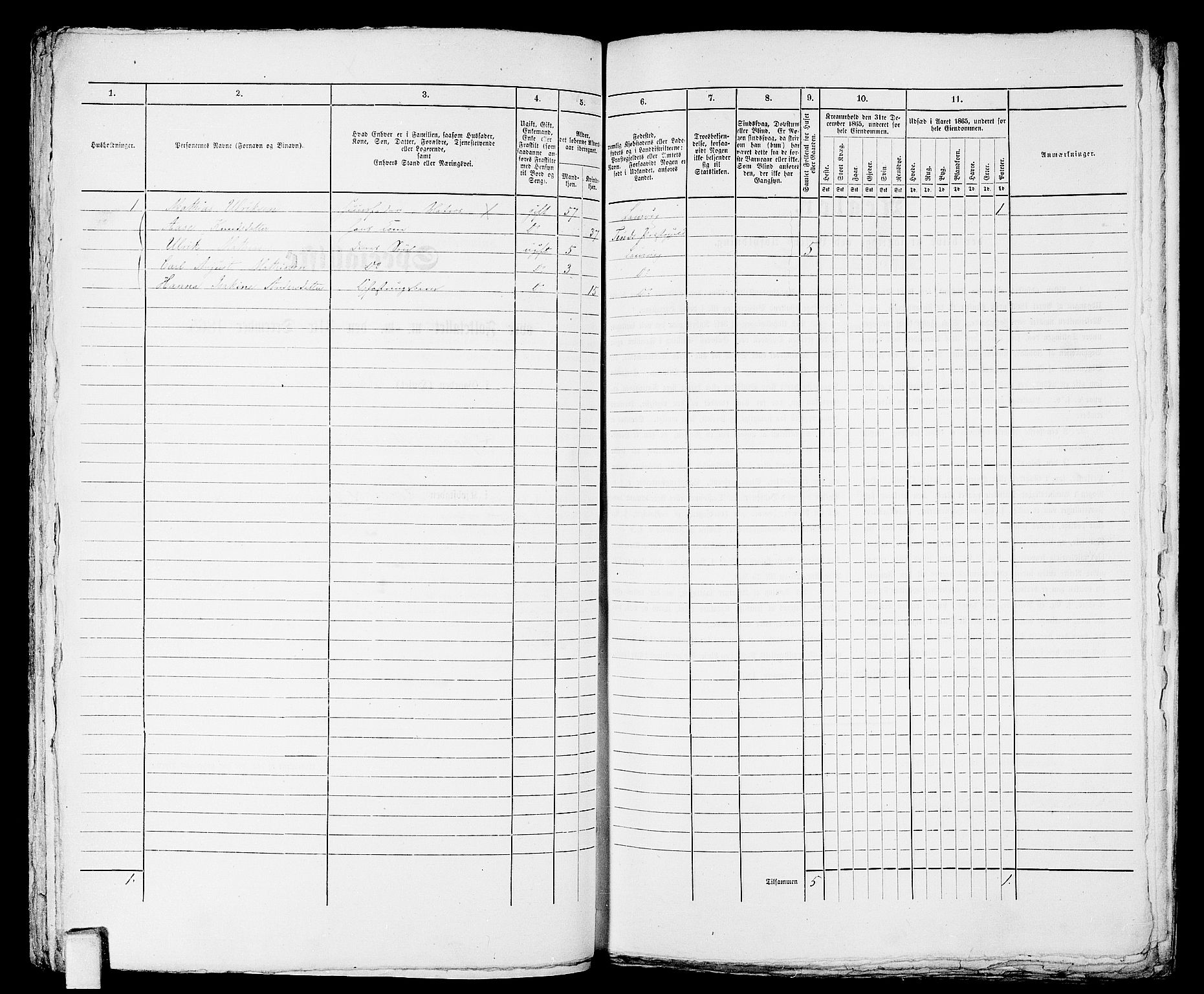 RA, 1865 census for Larvik, 1865, p. 875