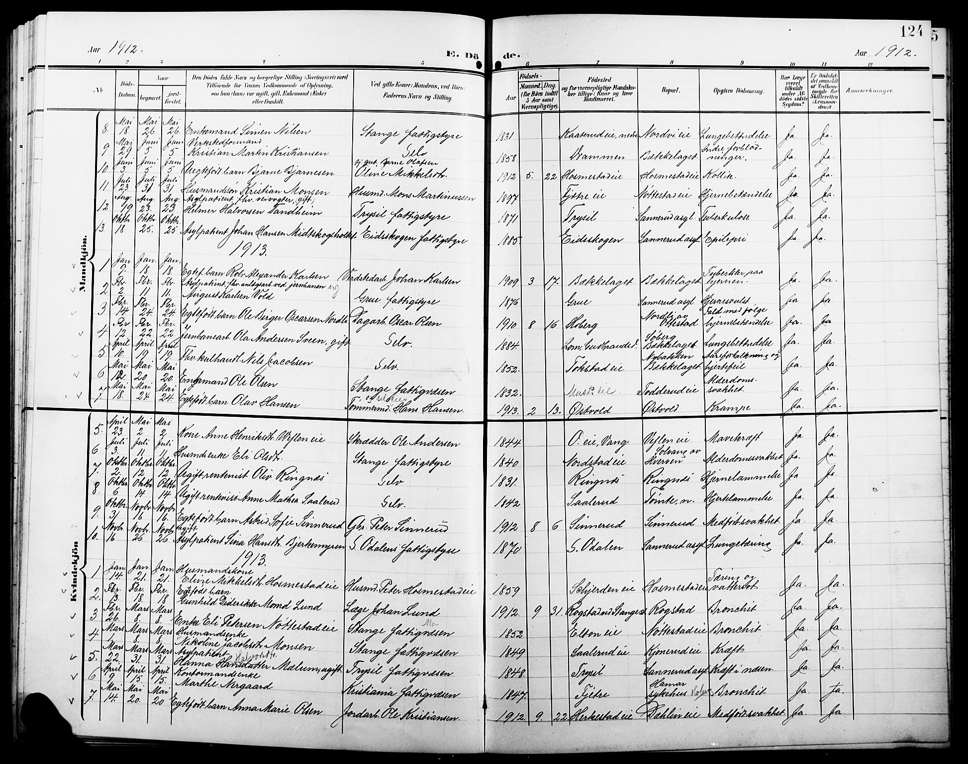 Stange prestekontor, SAH/PREST-002/L/L0013: Parish register (copy) no. 13, 1906-1915, p. 124