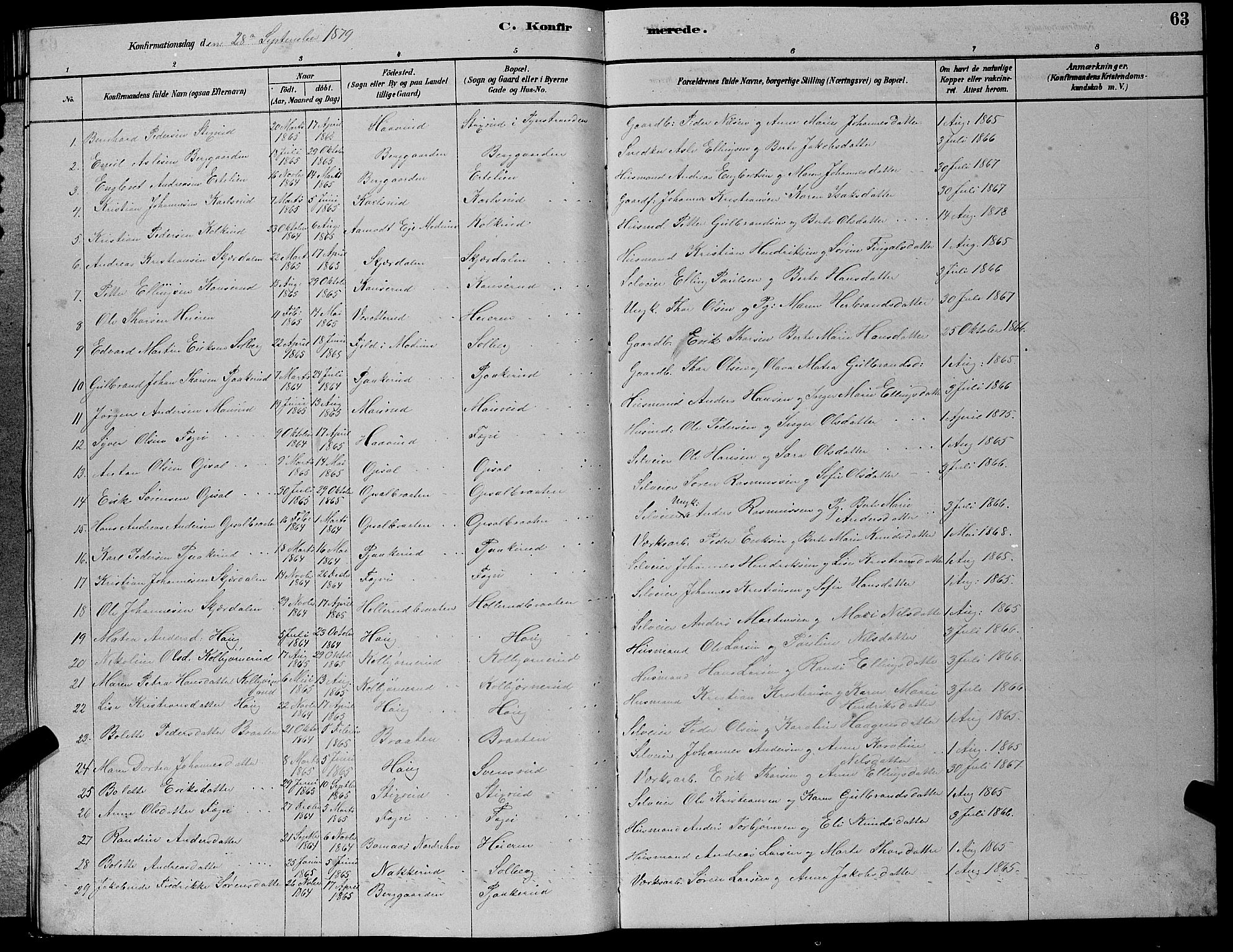 Hole kirkebøker, AV/SAKO-A-228/G/Gb/L0002: Parish register (copy) no. II 2, 1878-1889, p. 63