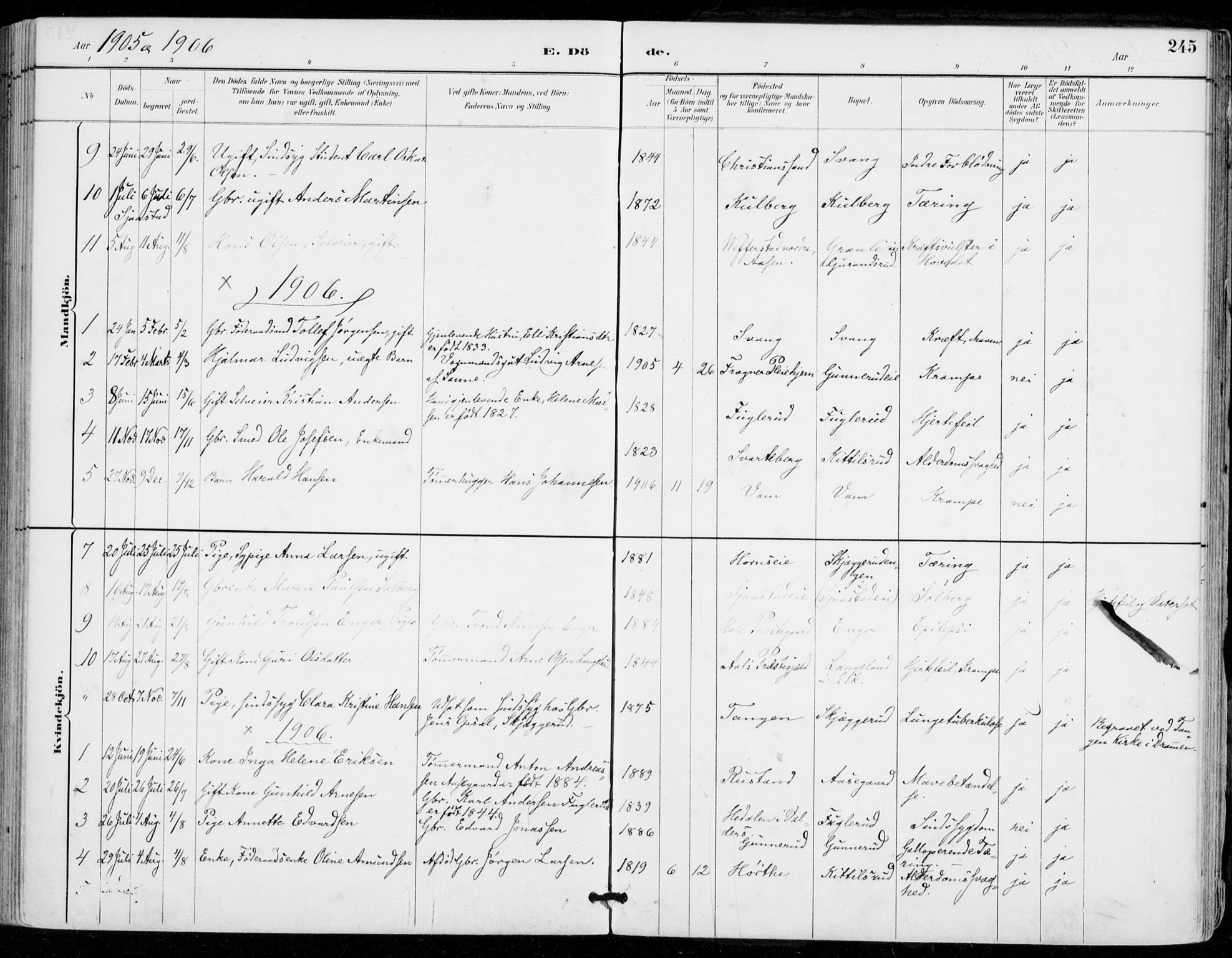 Sylling kirkebøker, AV/SAKO-A-247/F/Fa/L0001: Parish register (official) no. 1, 1883-1910, p. 245