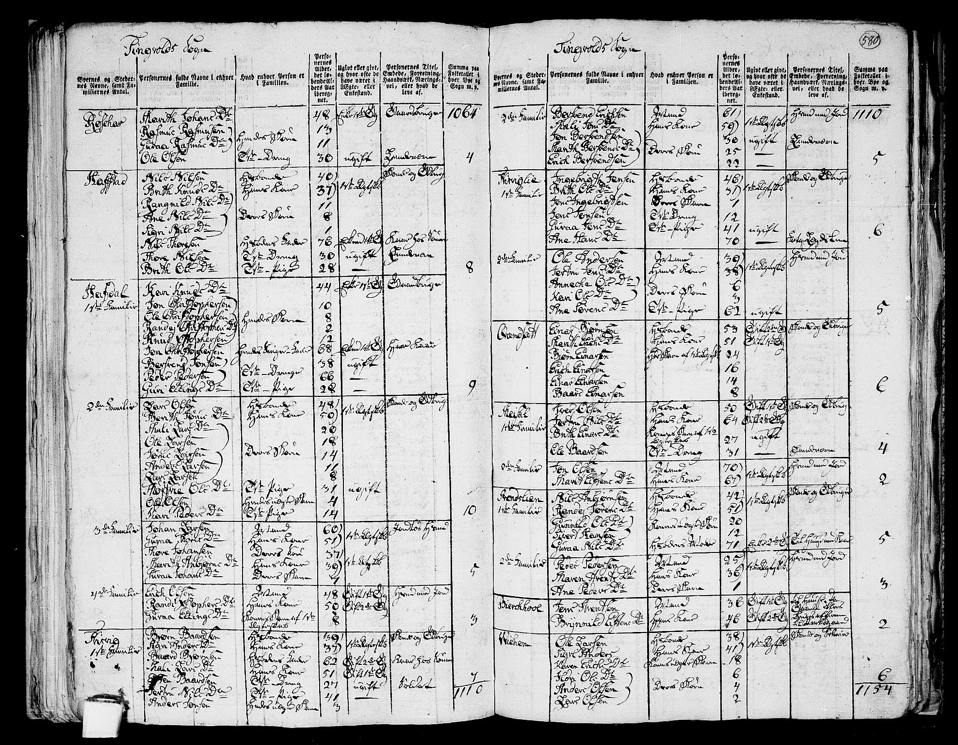 RA, 1801 census for 1560P Tingvoll, 1801, p. 579b-580a